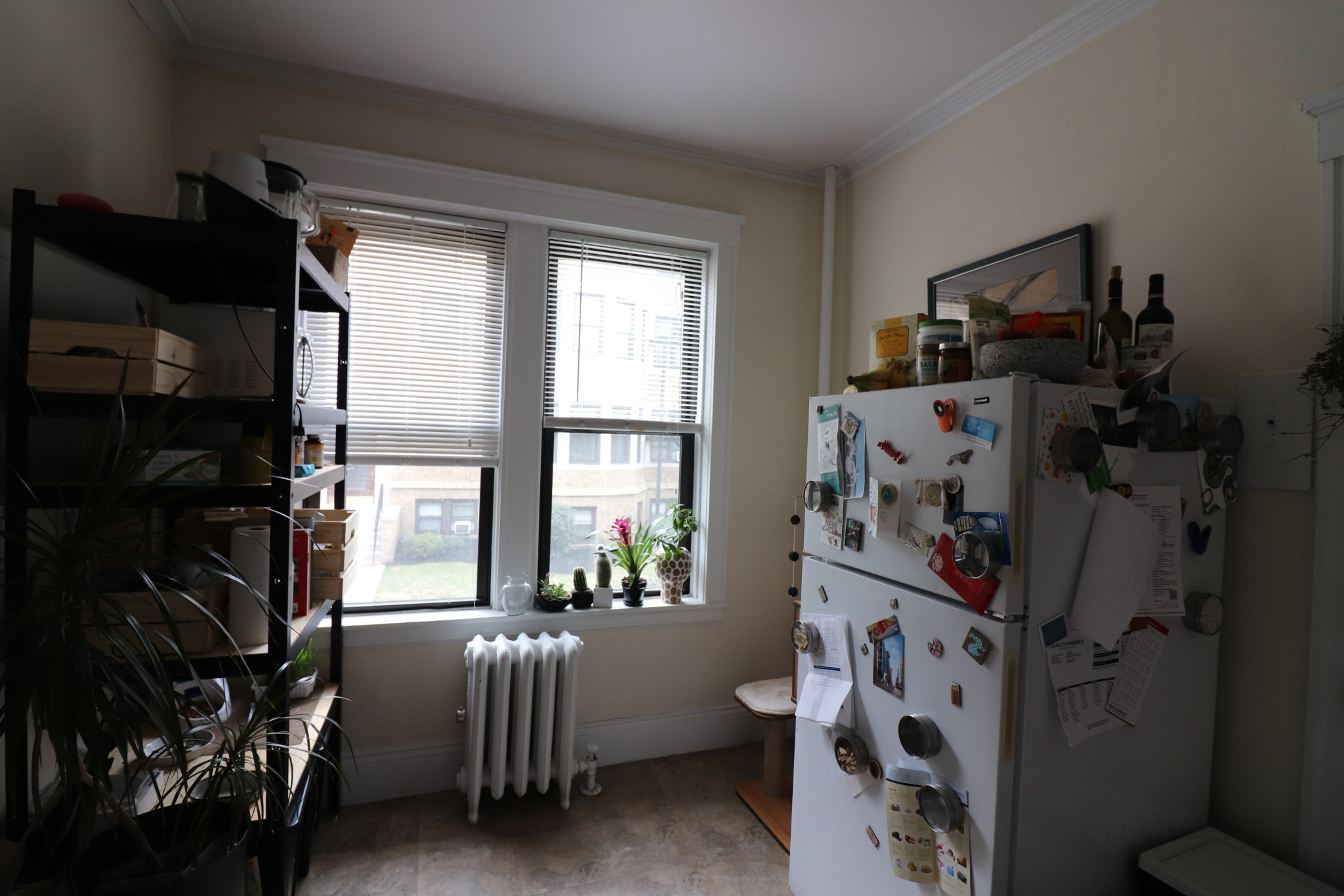 126 Babcock St, Coolidge Corner