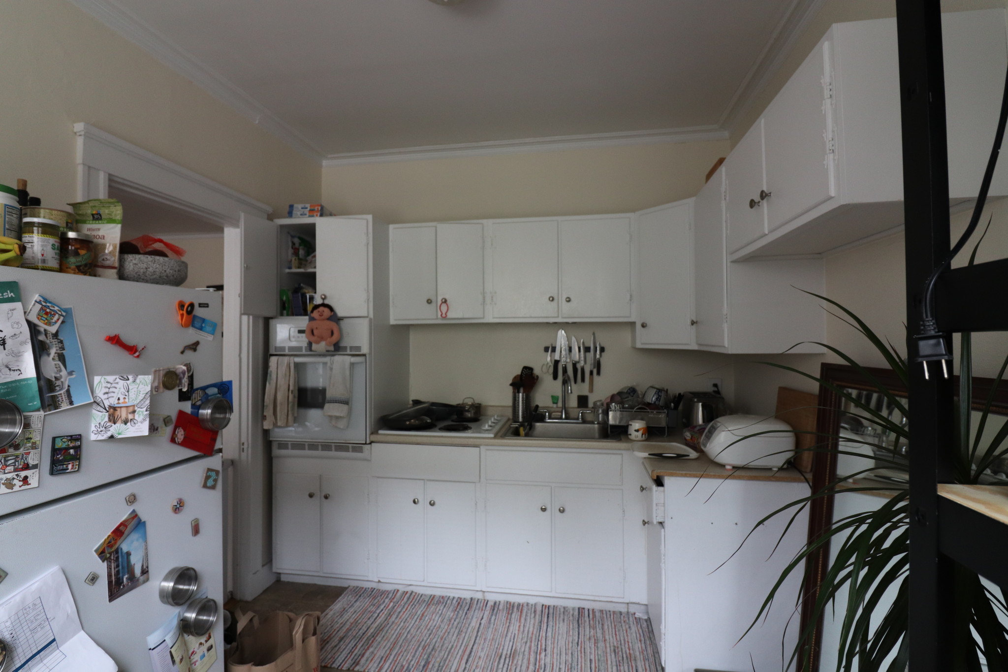 126 Babcock St, Coolidge Corner