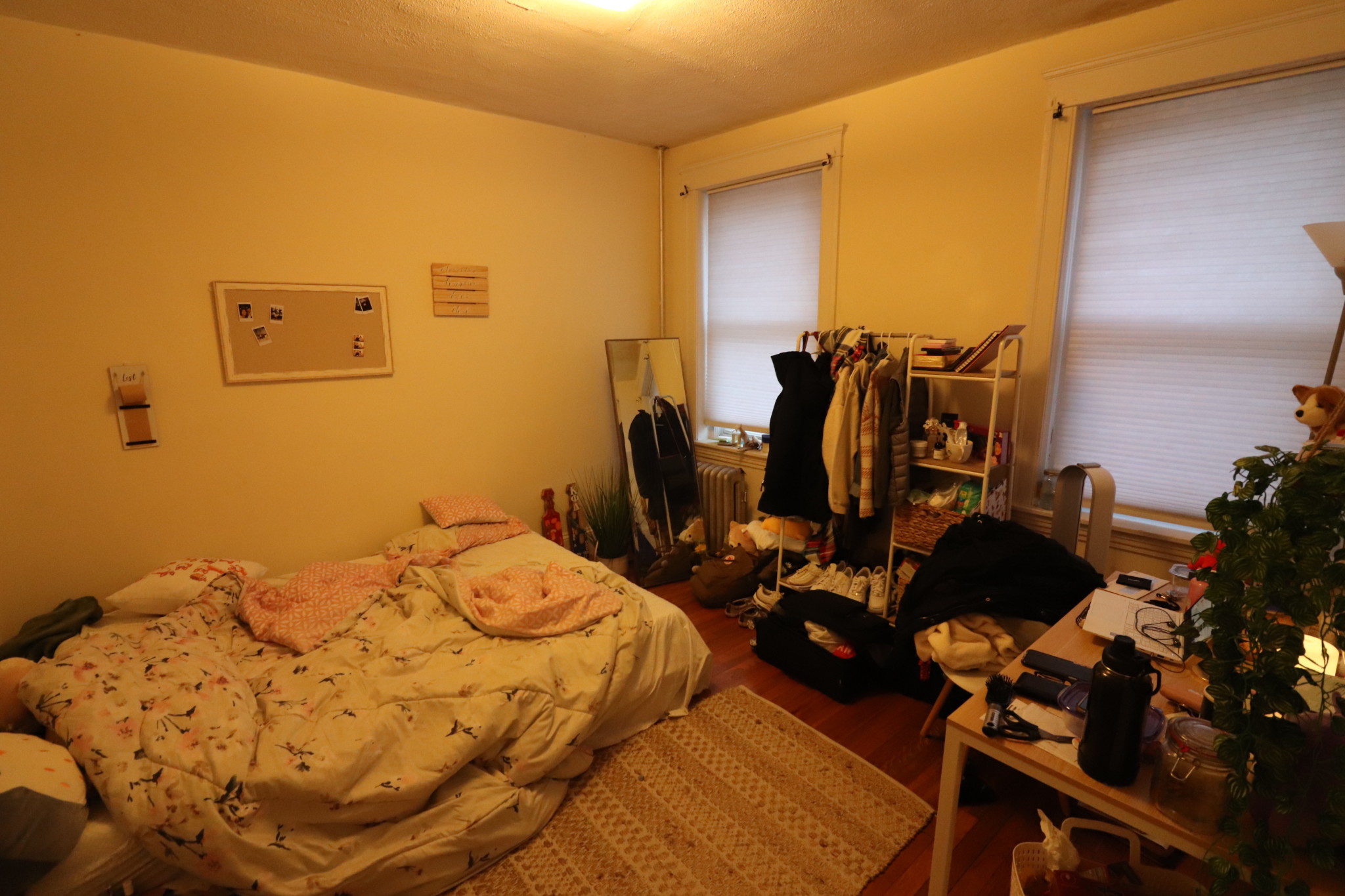 241 Freeman St, Coolidge Corner