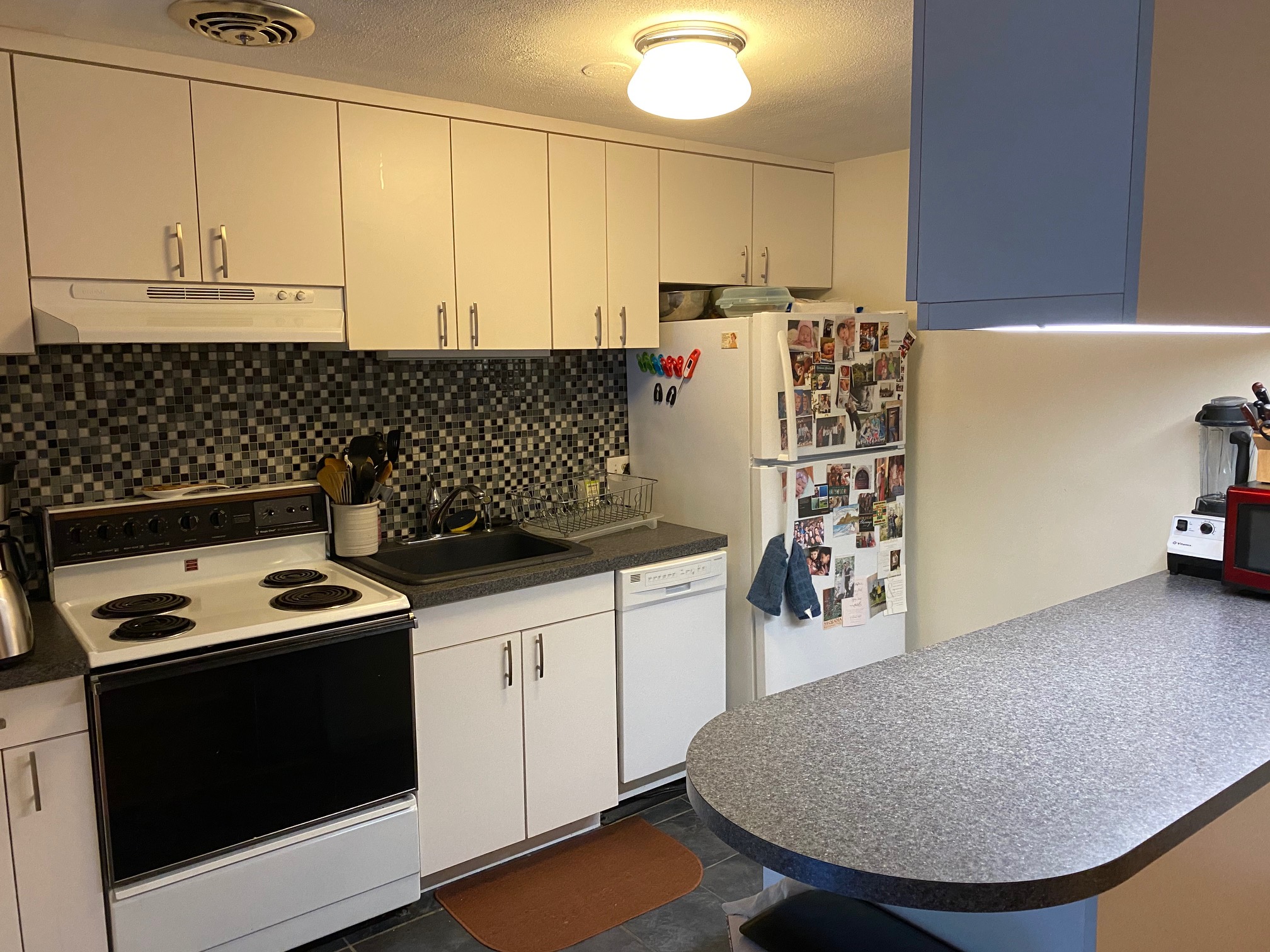 205 Kent St, Brookline