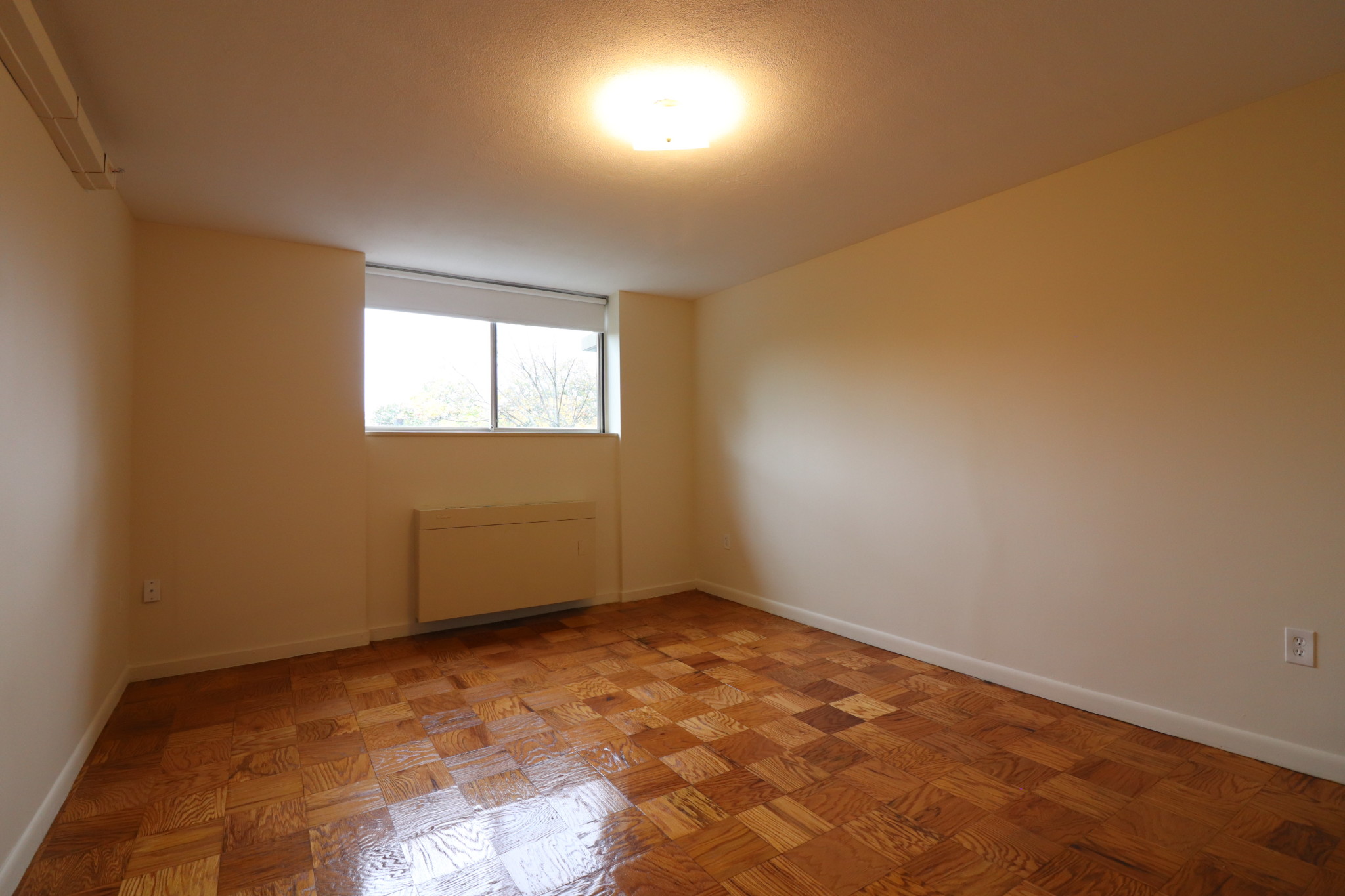 101 Monmouth St, Longwood