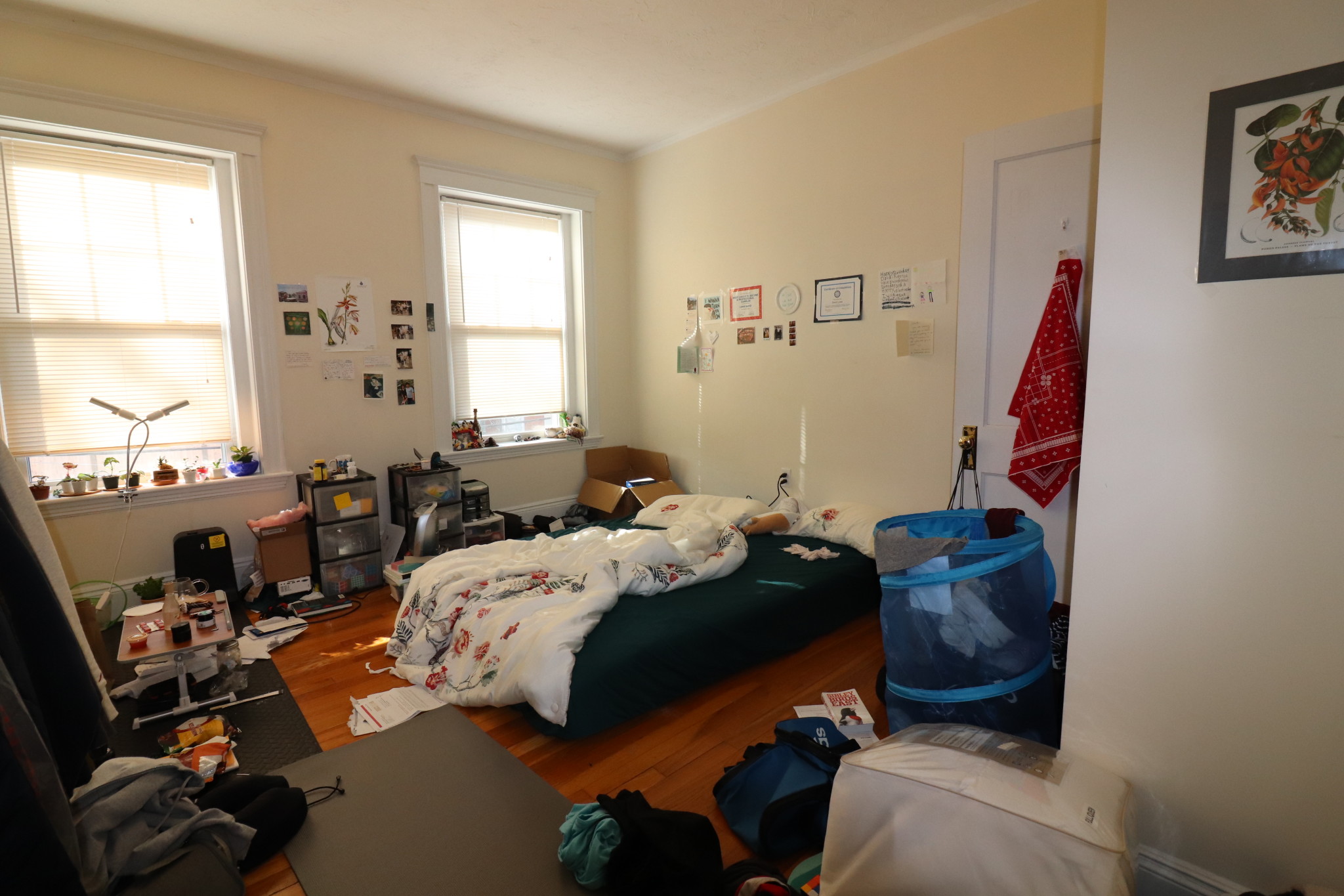 191 Winthrop Rd, Washington Square