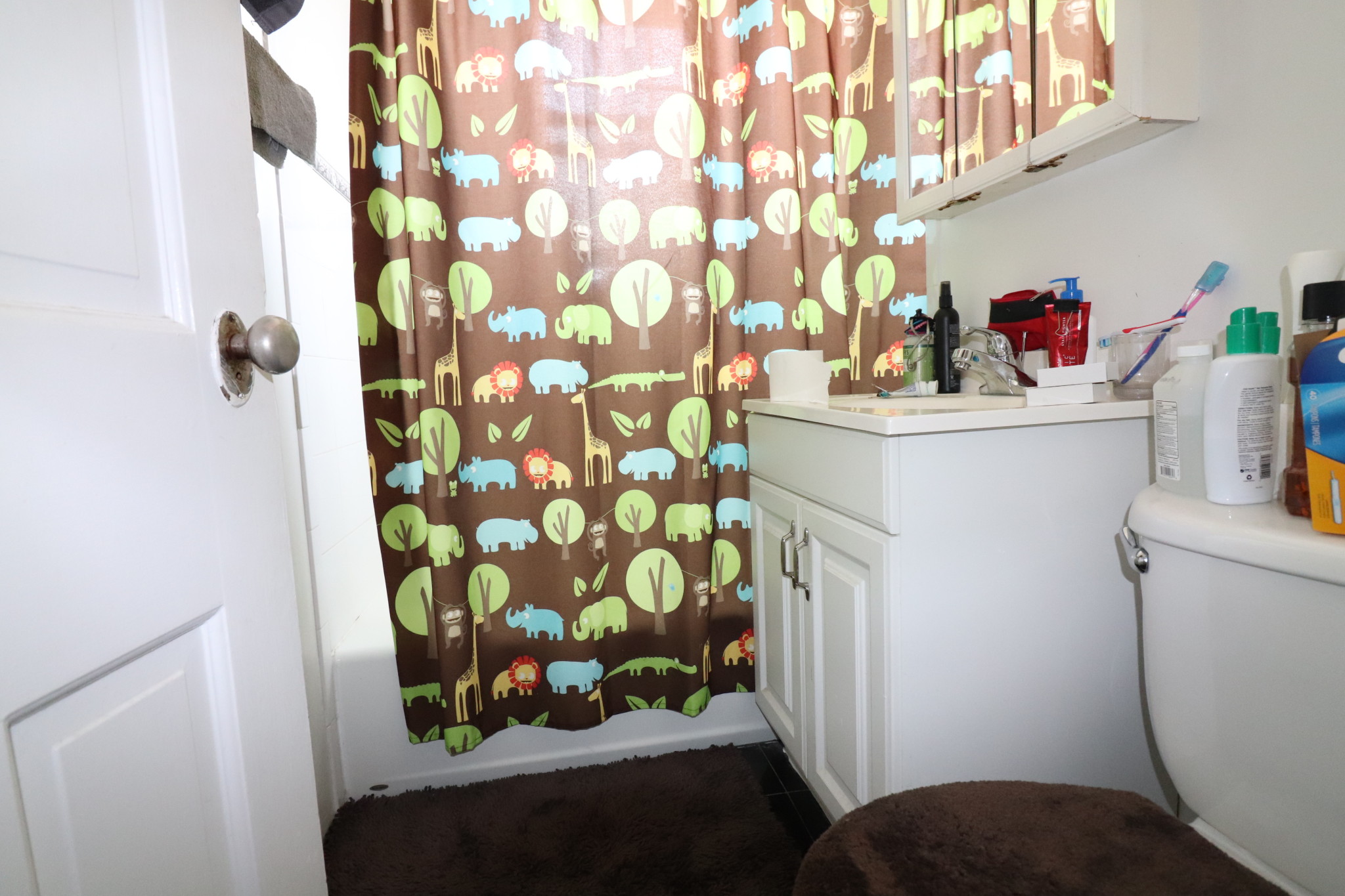 24 Fairbanks St, Washington Square