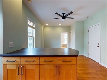 12 Montfern Ave, Brighton