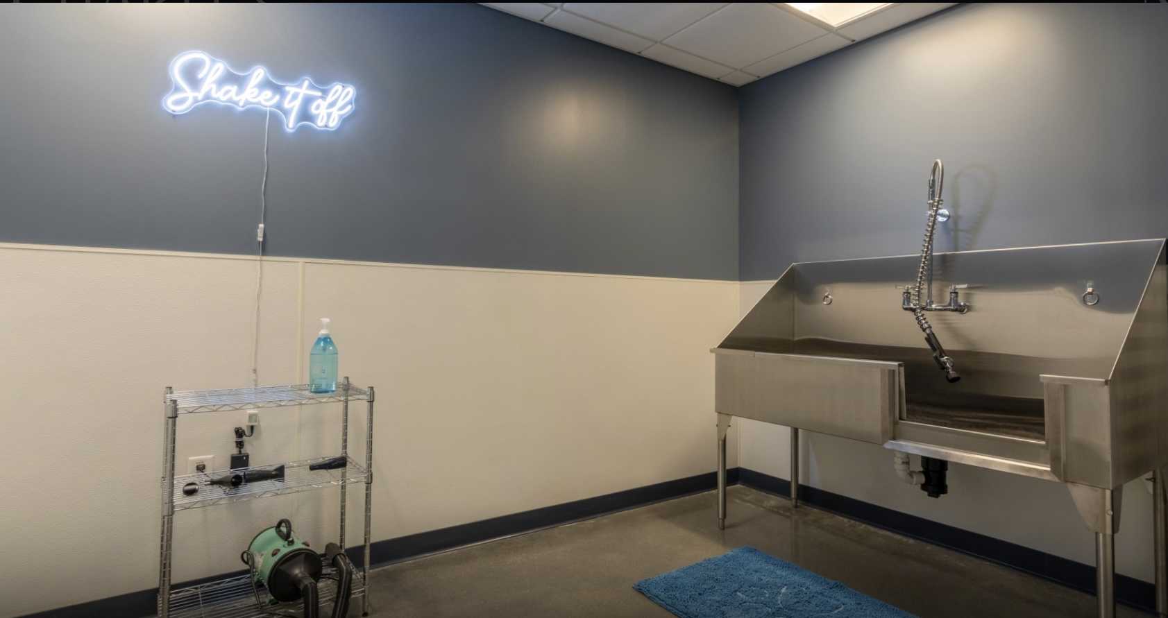 1550 Soldiers Field Rd, Brighton