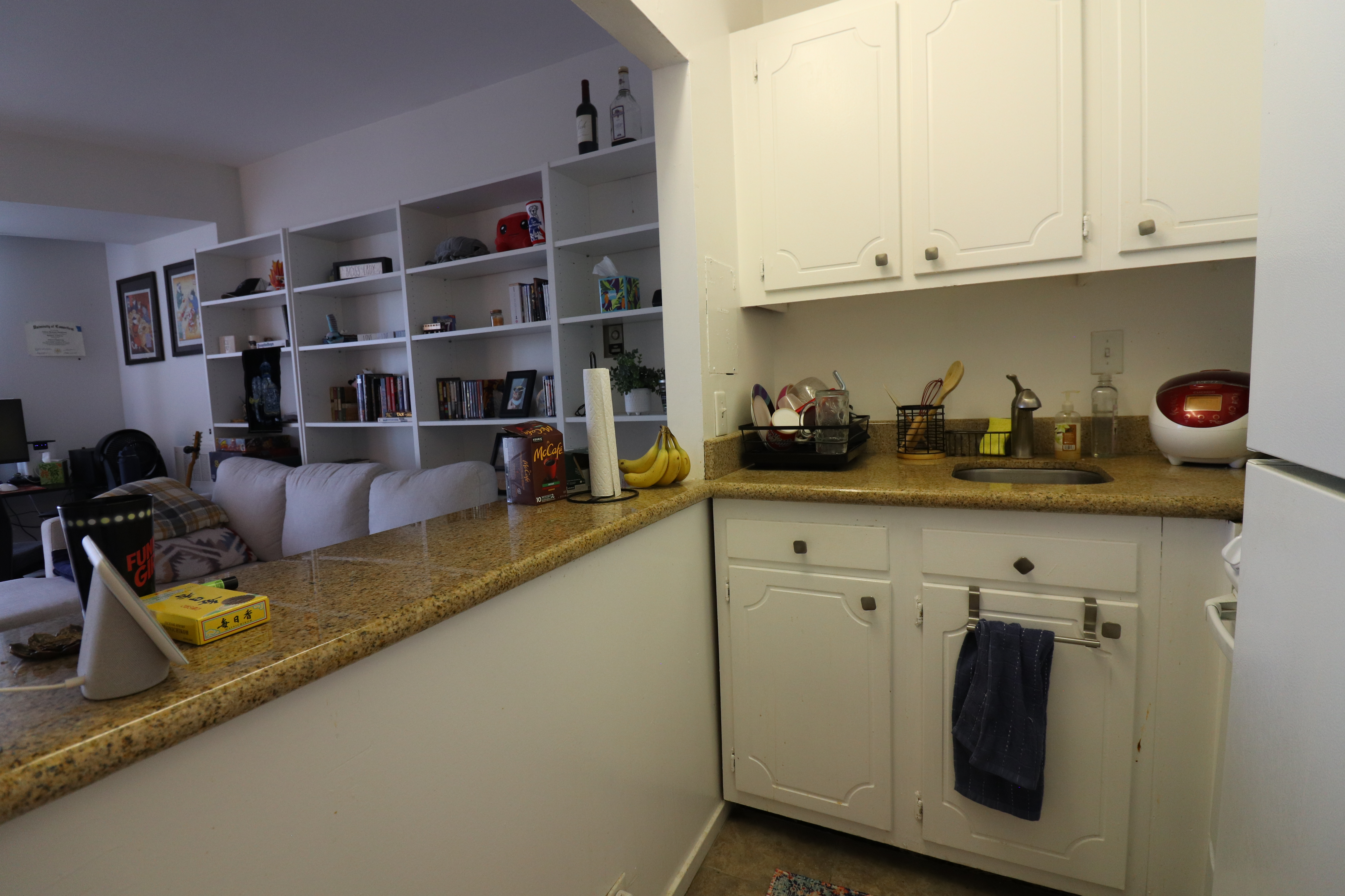 19 Winchester St, North Brookline