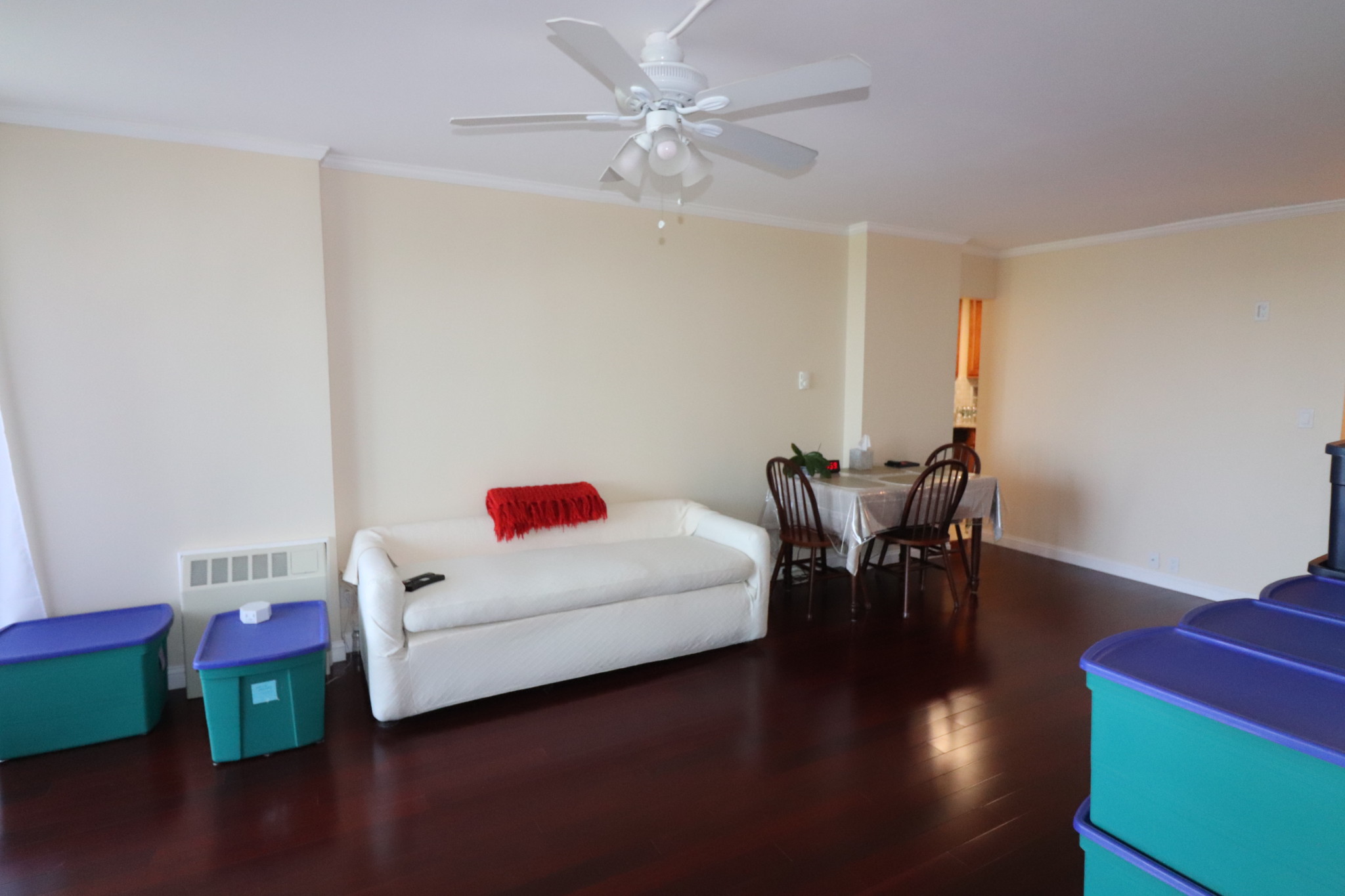 19 Winchester St, Coolidge Corner