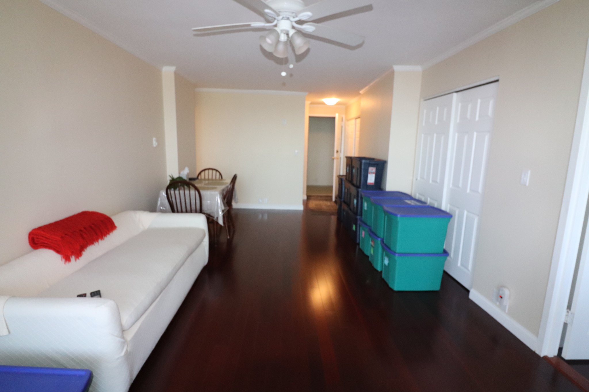 19 Winchester St, Coolidge Corner