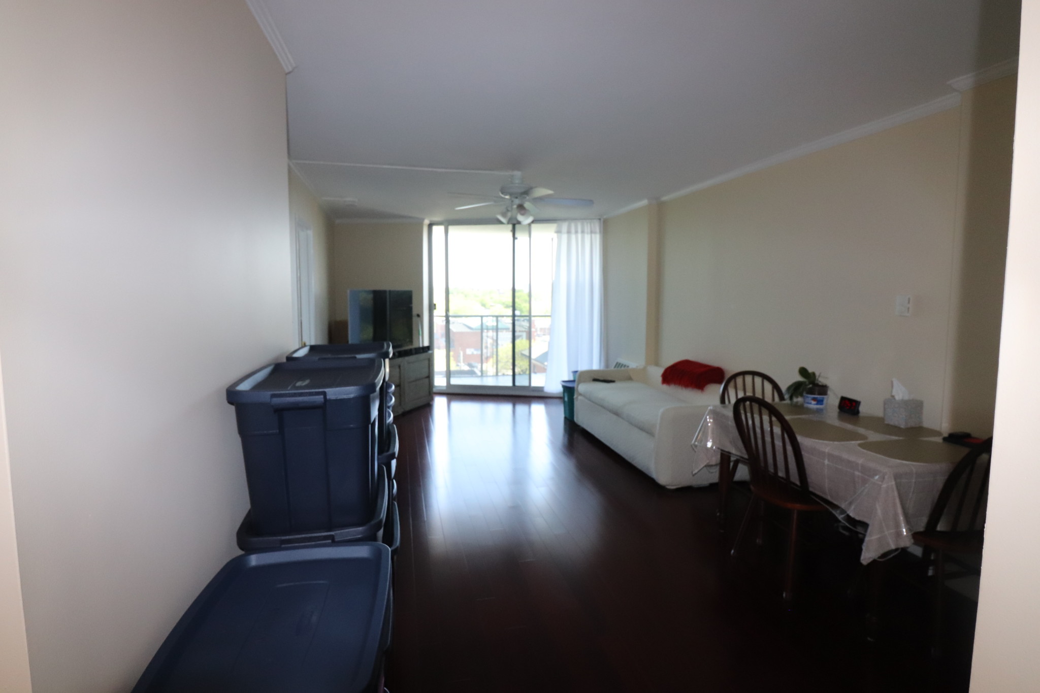 19 Winchester St, Coolidge Corner