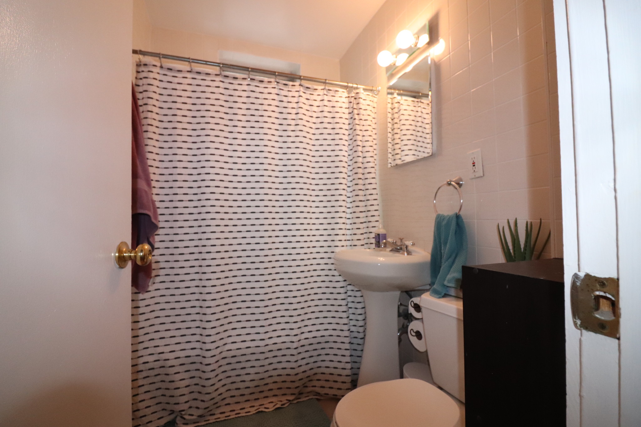 19 South St, Brighton