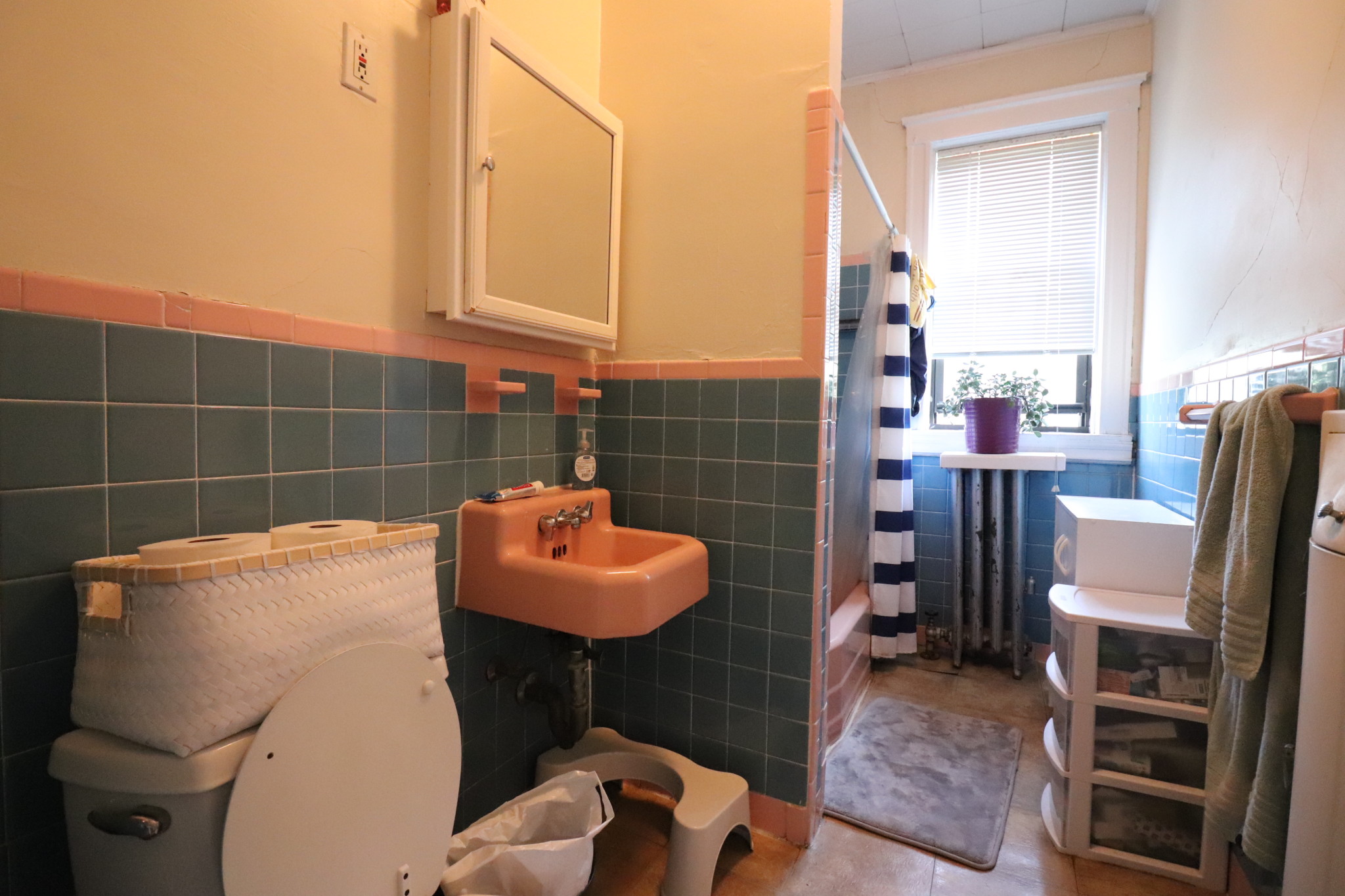 126 Babcock St, North Brookline