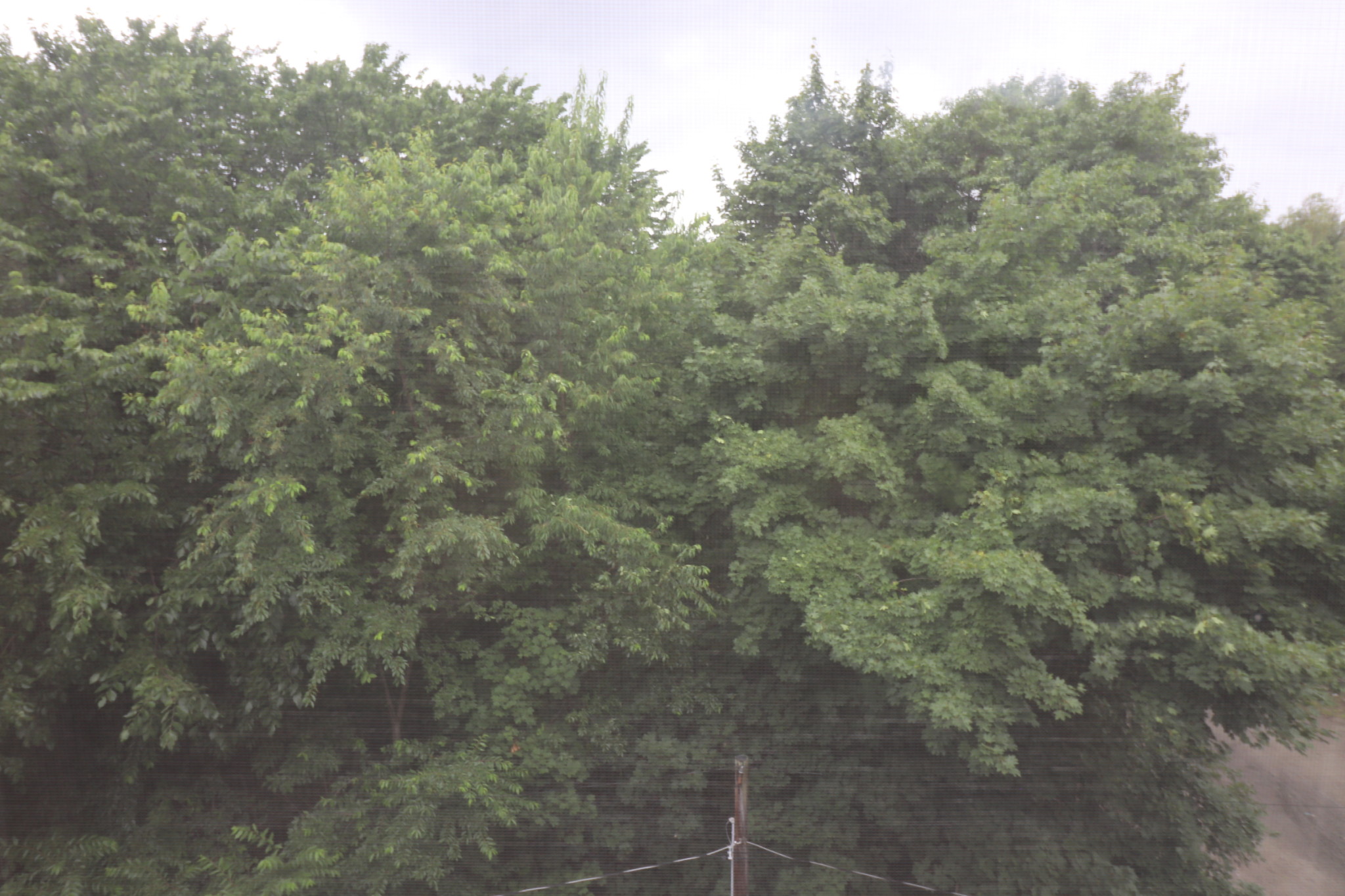 1090 Beacon St, Coolidge Corner