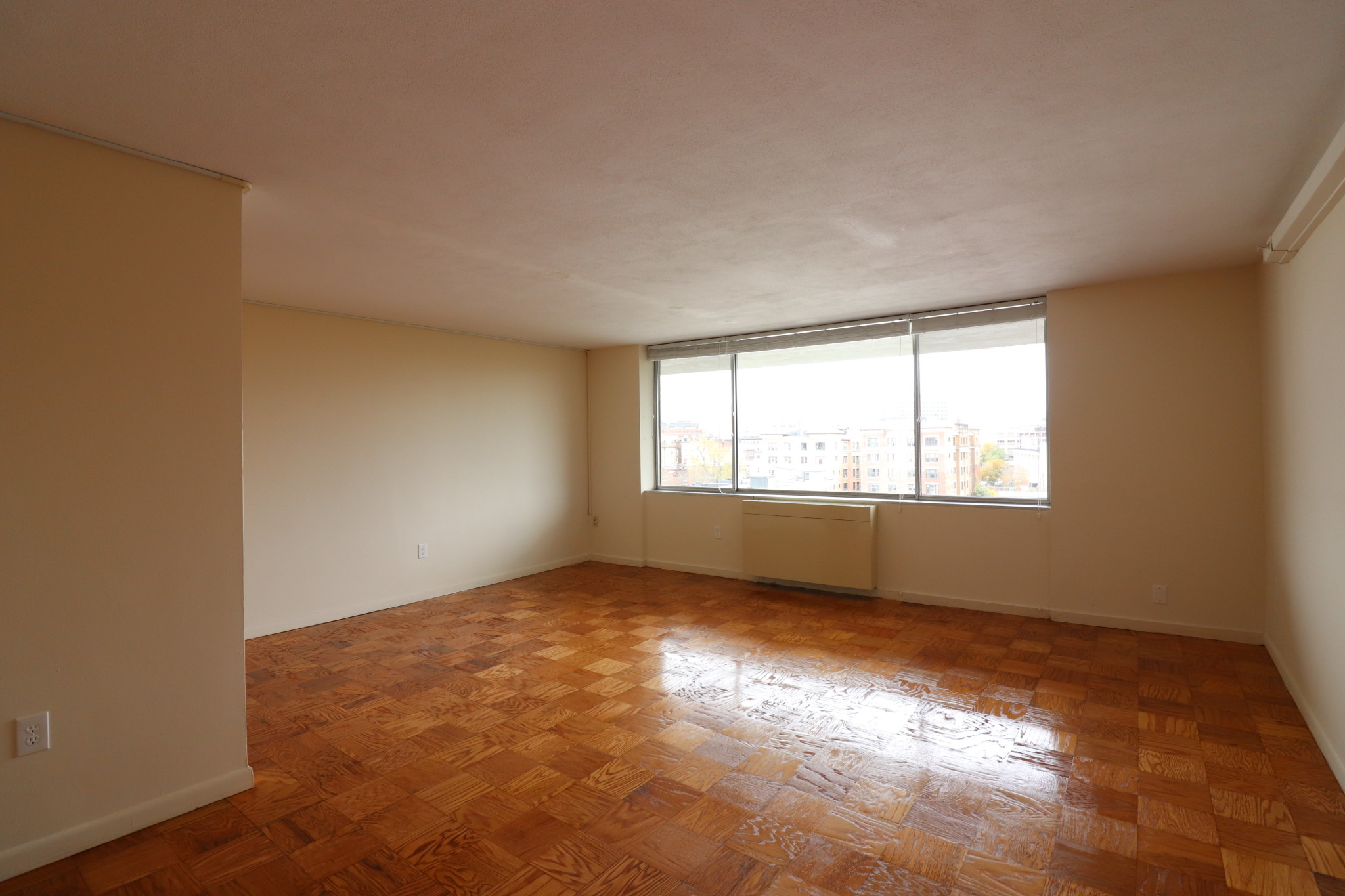 Studio bed, 1 bath apartment for rent at 101 Monmouth St Unit 205, Longwood — photo 1 of 15