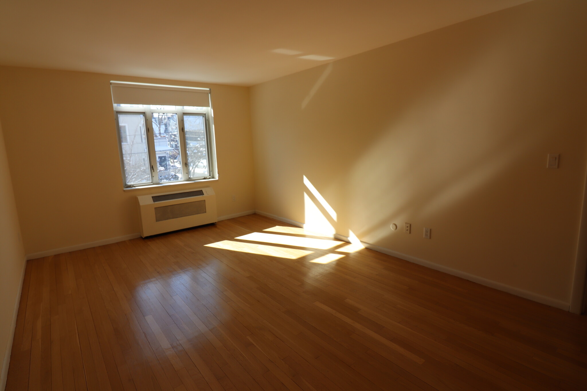 2 bed, 1 bath apartment for rent at 36 Vernon St Unit 313, Coolidge Corner — photo 6 of 16