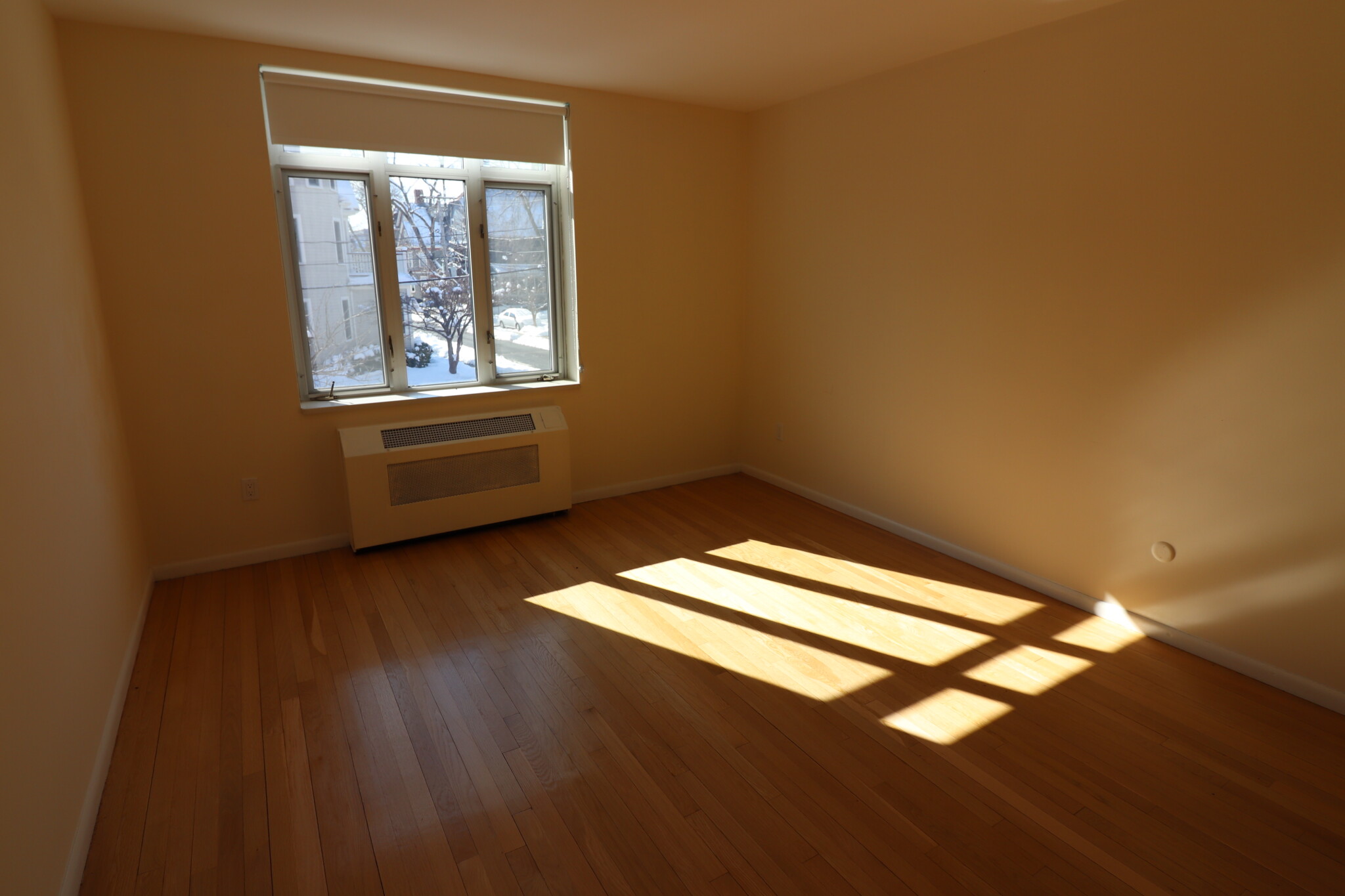 2 bed, 1 bath apartment for rent at 36 Vernon St Unit 313, Coolidge Corner — photo 4 of 16