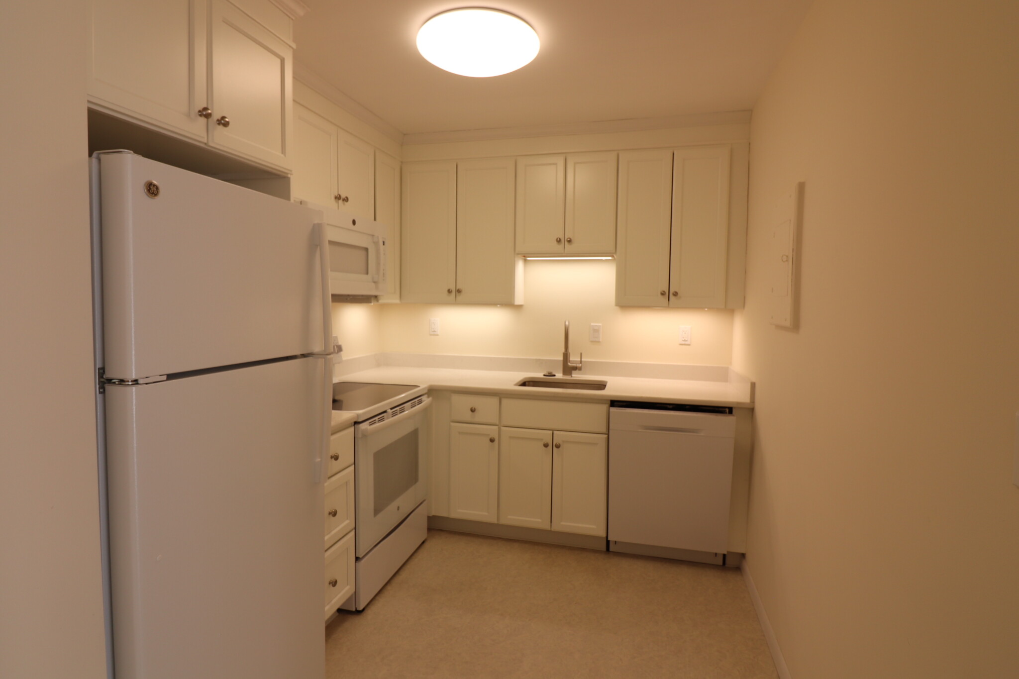 2 bed, 1 bath apartment for rent at 36 Vernon St Unit 313, Coolidge Corner — photo 2 of 16