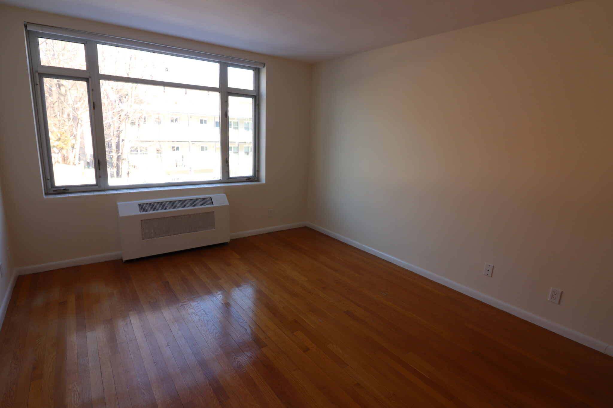 1 bed, 1 bath apartment for rent at 35 Vernon St Unit 212, Brookline — photo 3 of 8