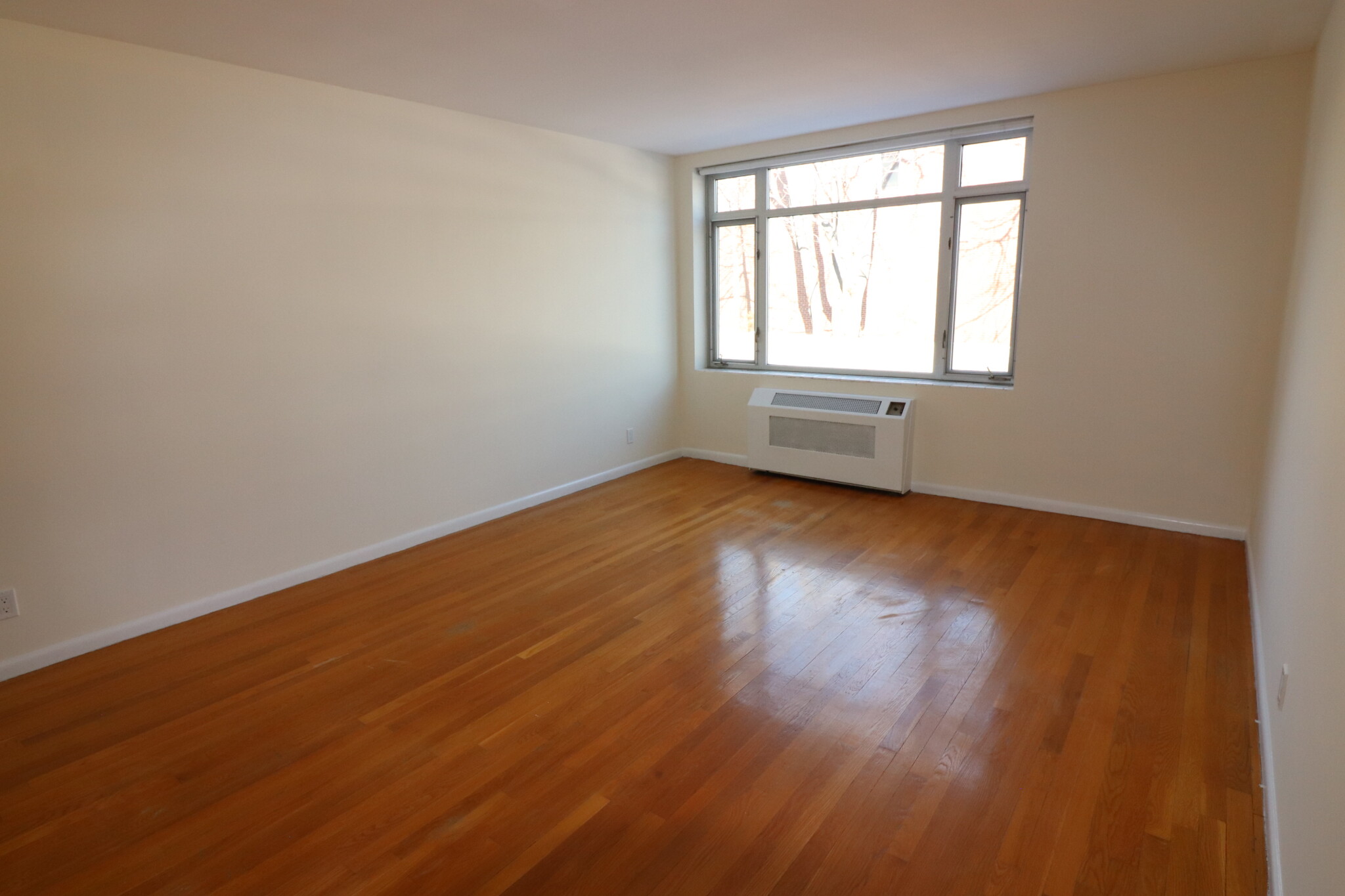1 bed, 1 bath apartment for rent at 35 Vernon St Unit 212, Brookline — photo 2 of 8