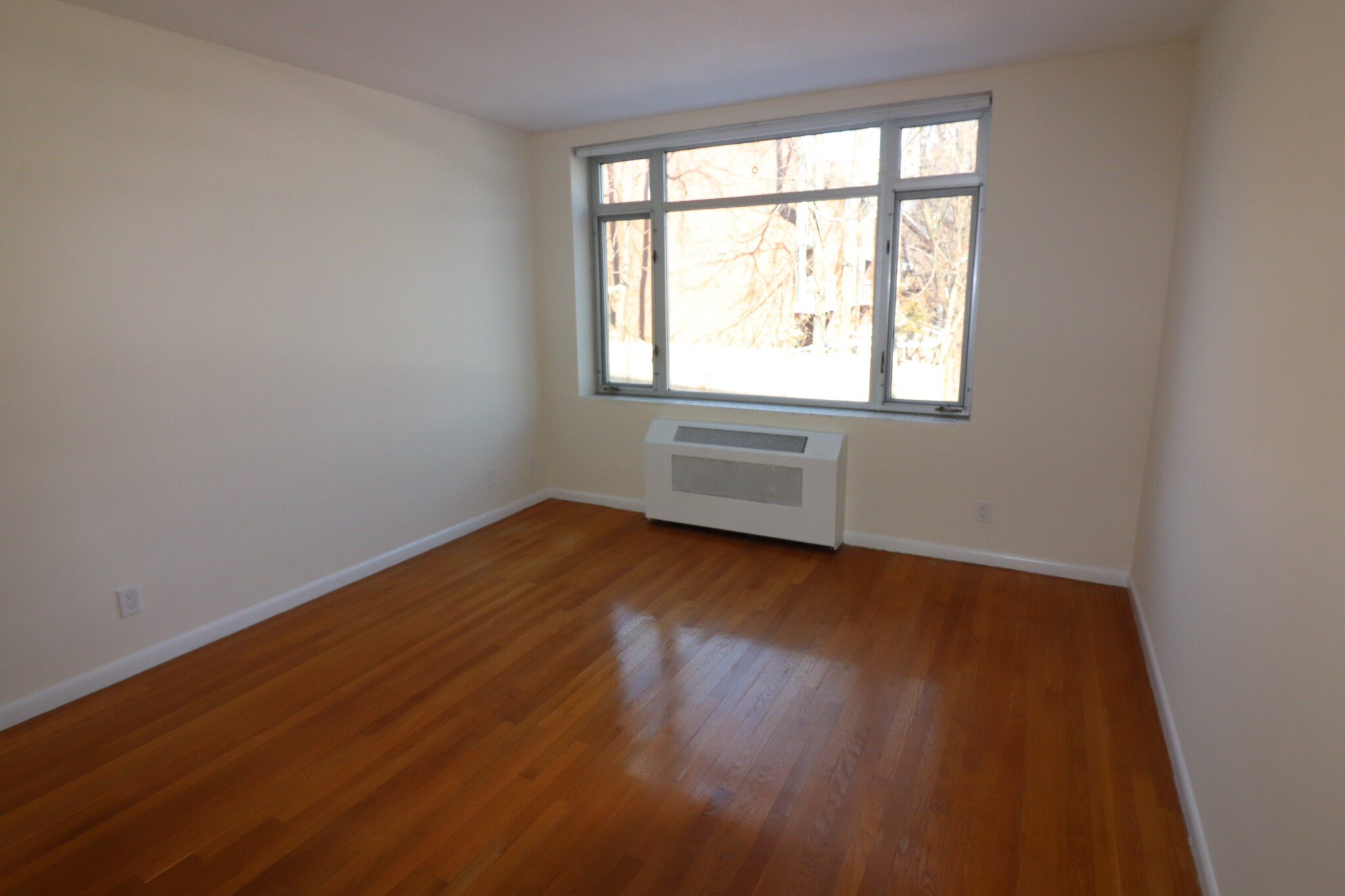 1 bed, 1 bath apartment for rent at 35 Vernon St Unit 212, Brookline — photo 4 of 8