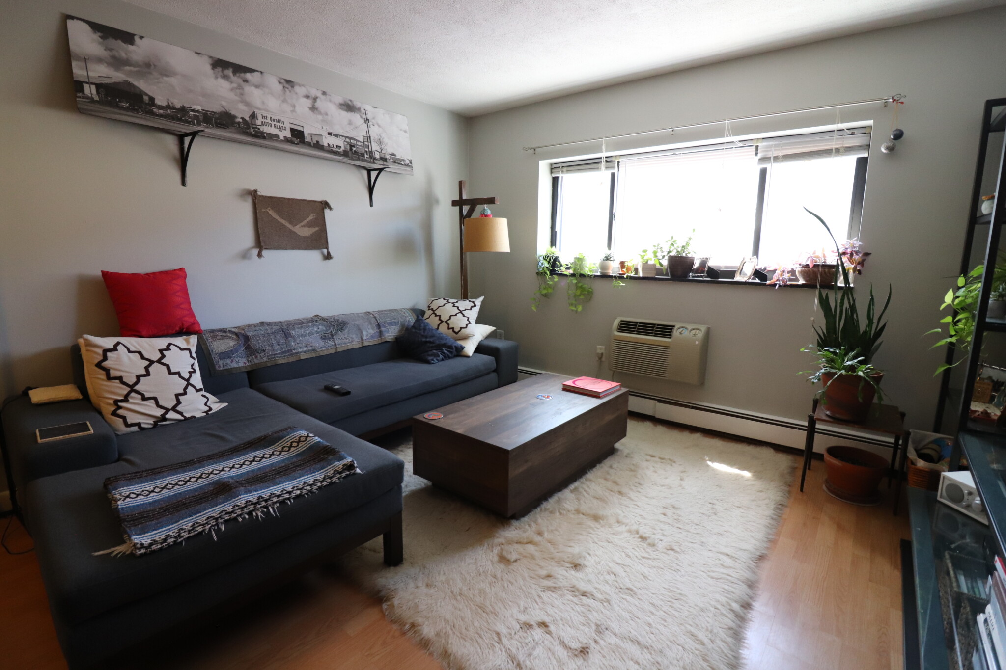 15 Walbridge St, Brighton