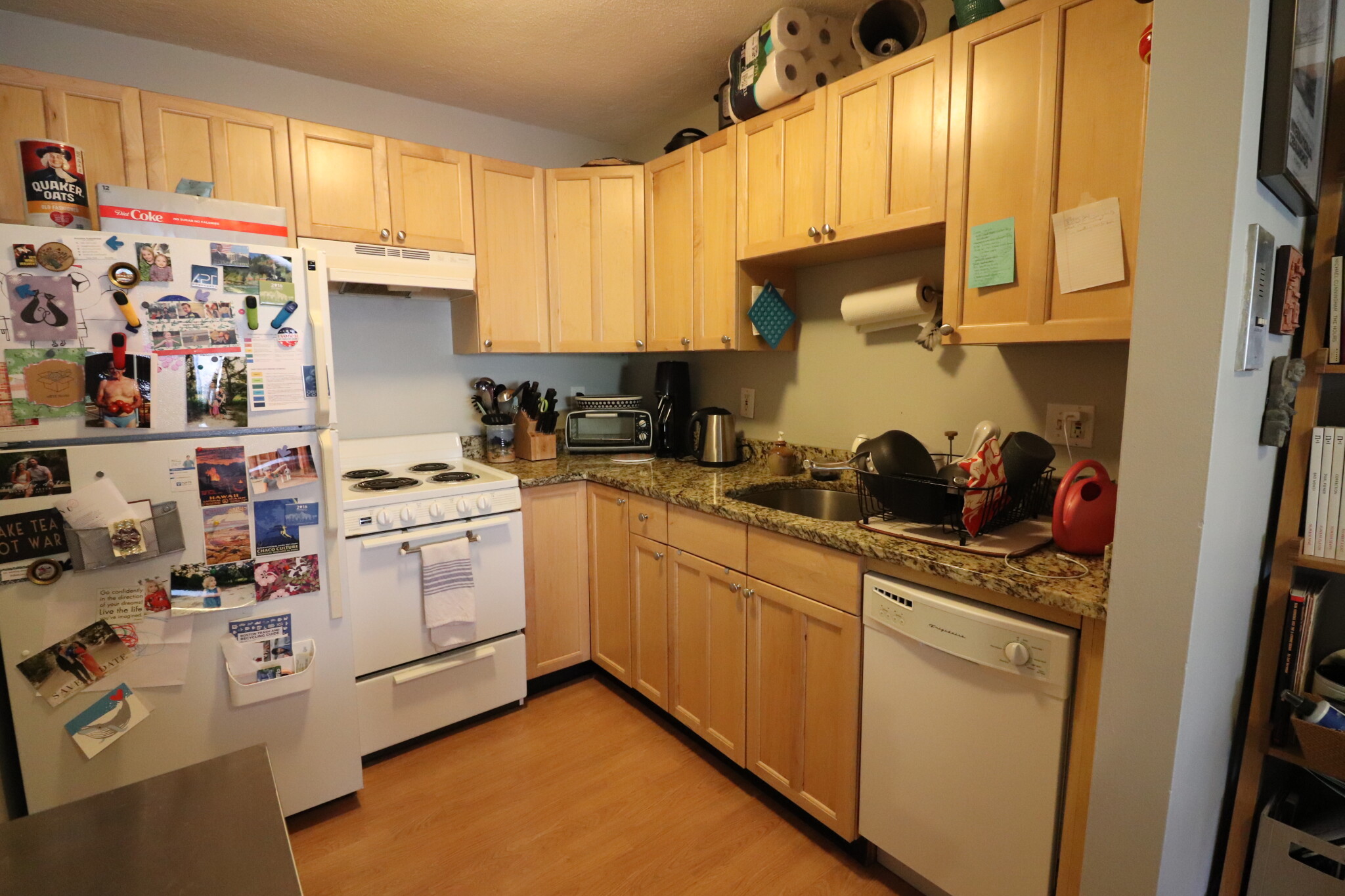 15 Walbridge St, Brighton