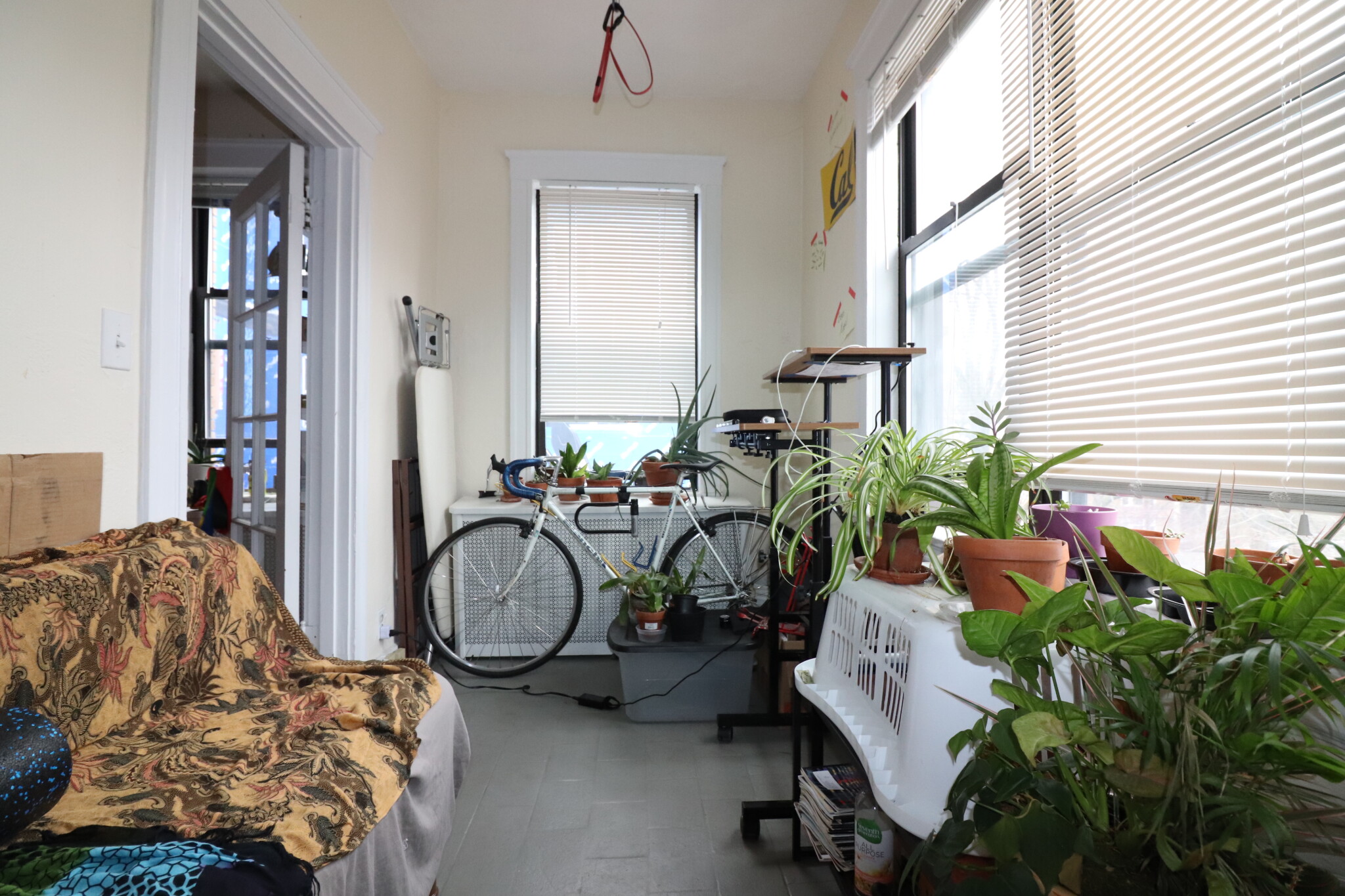 126 Babcock St, Coolidge Corner