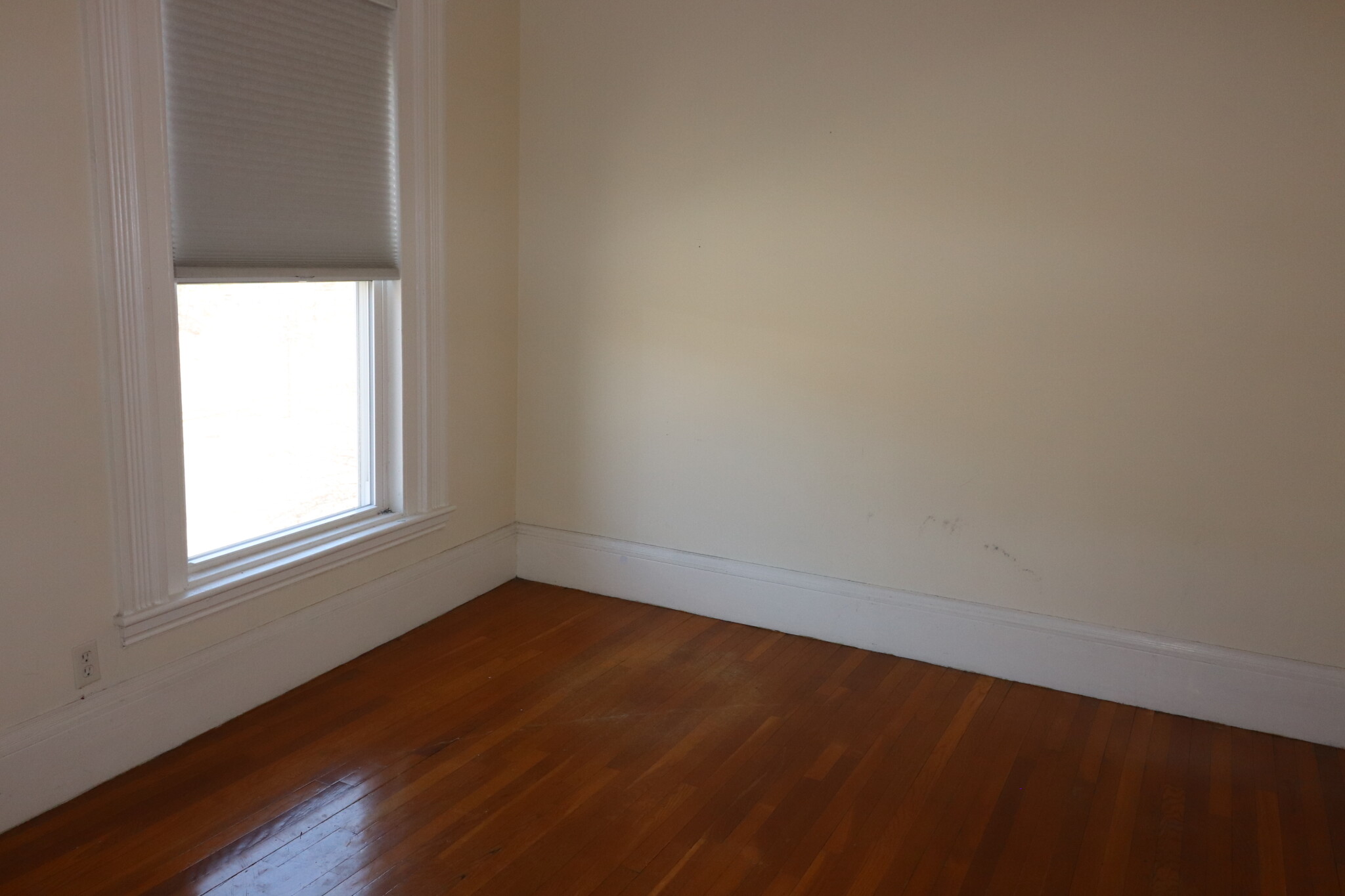 1569 Beacon St, Washington Square