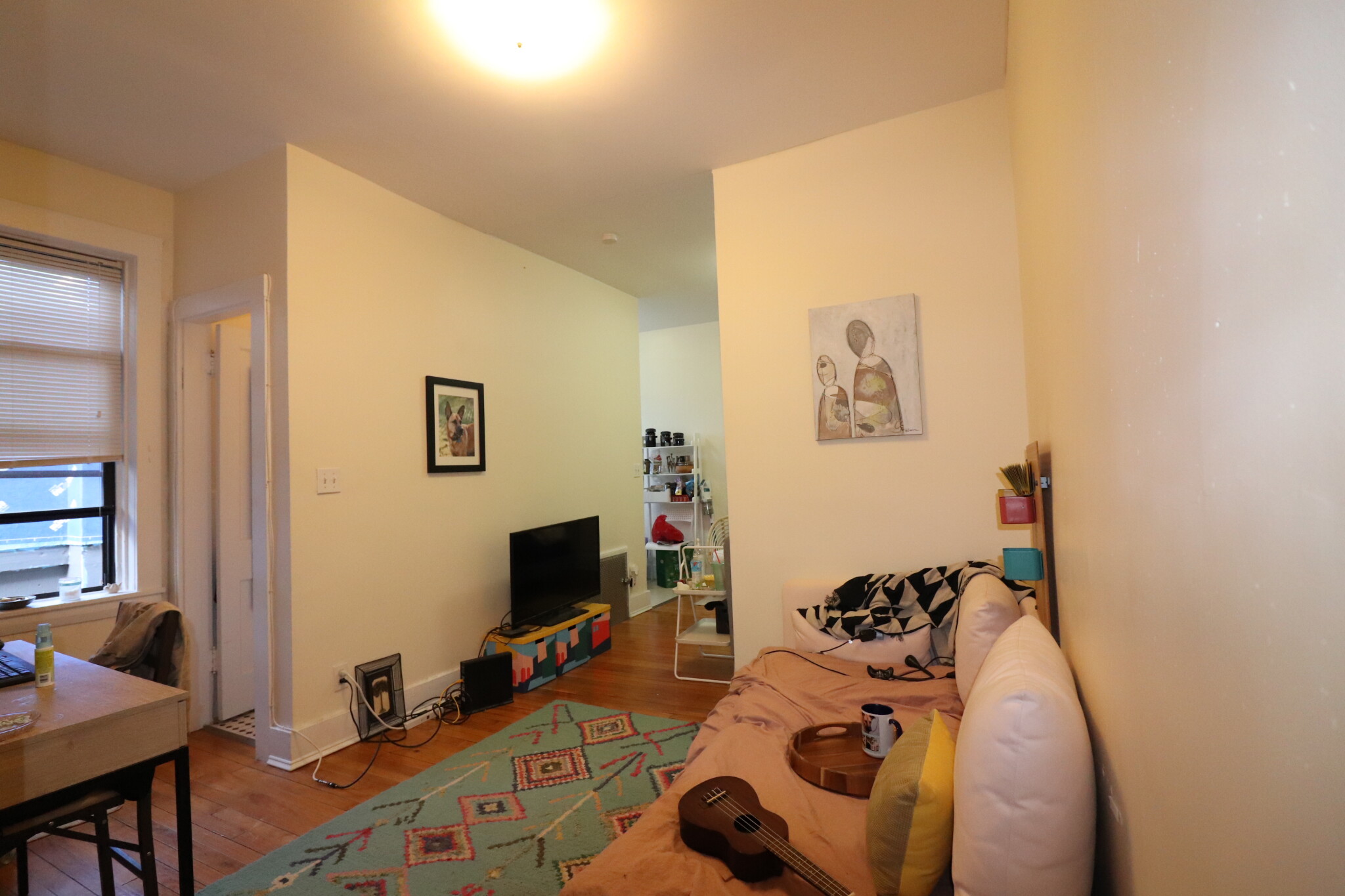 126 Babcock St, North Brookline