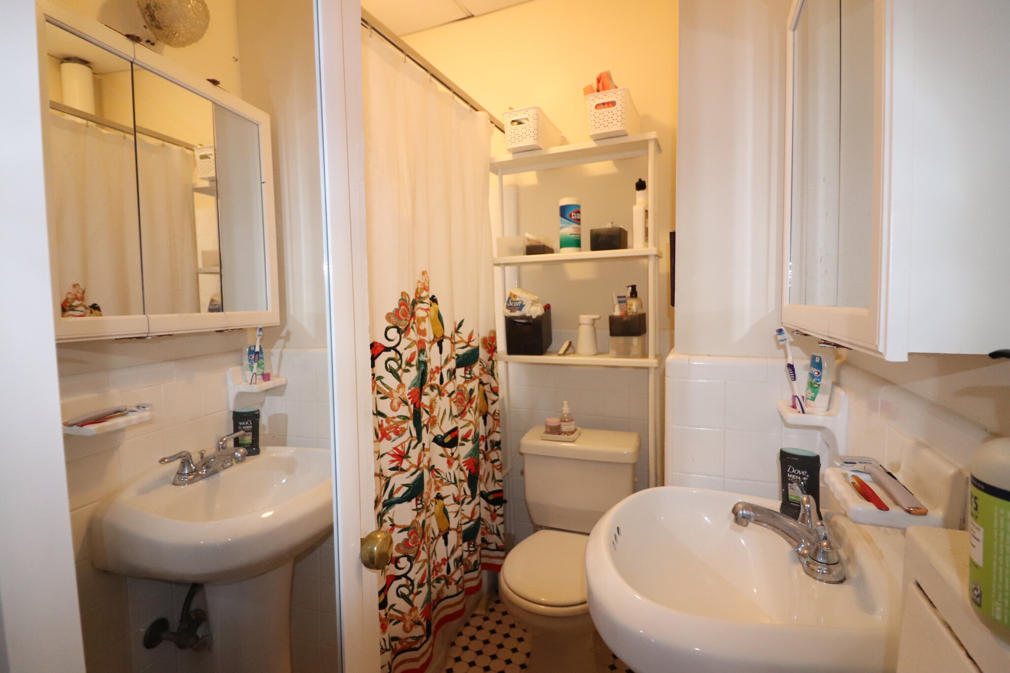 126 Babcock St, North Brookline