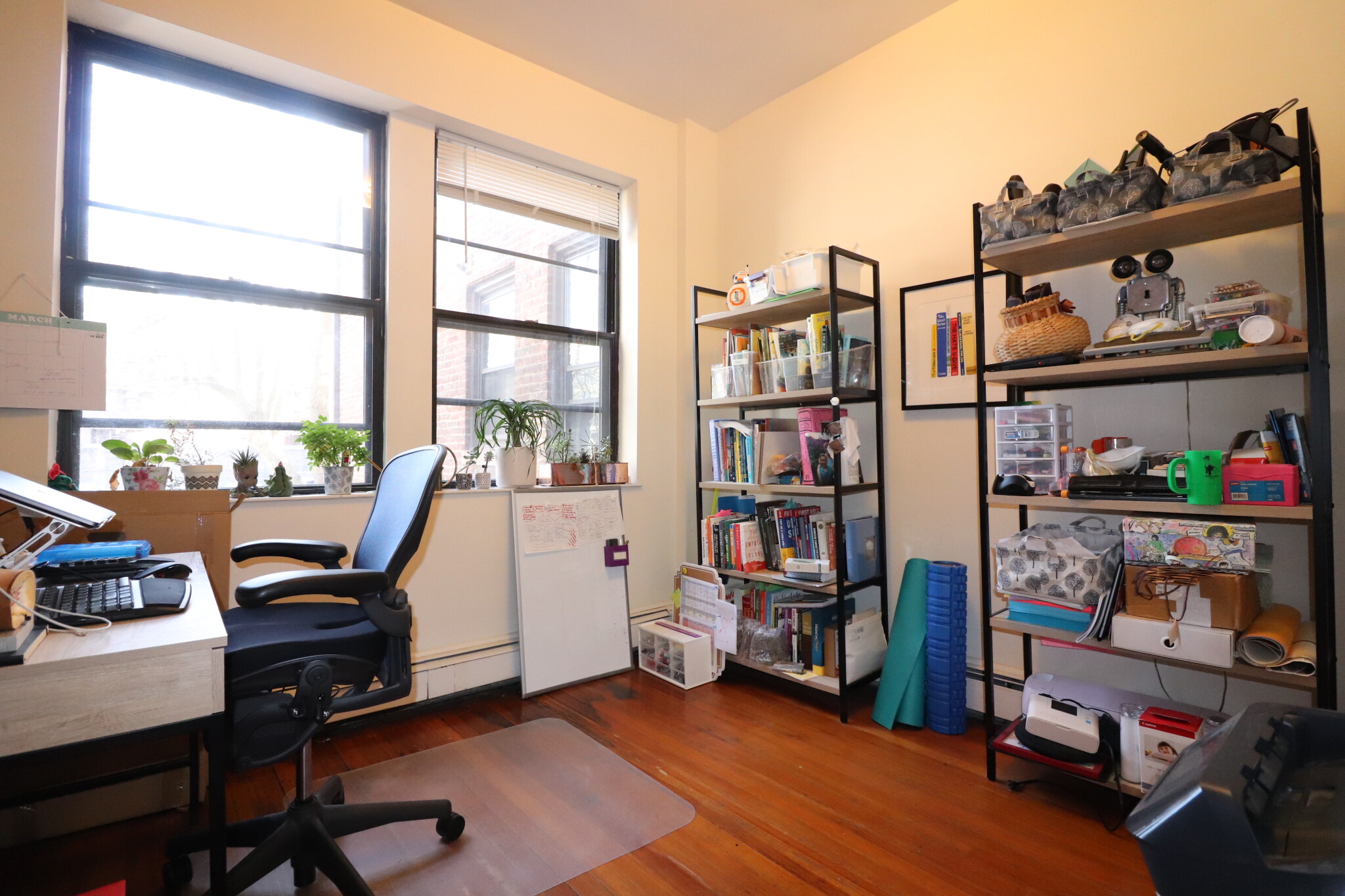 11 Stearns Rd, Coolidge Corner