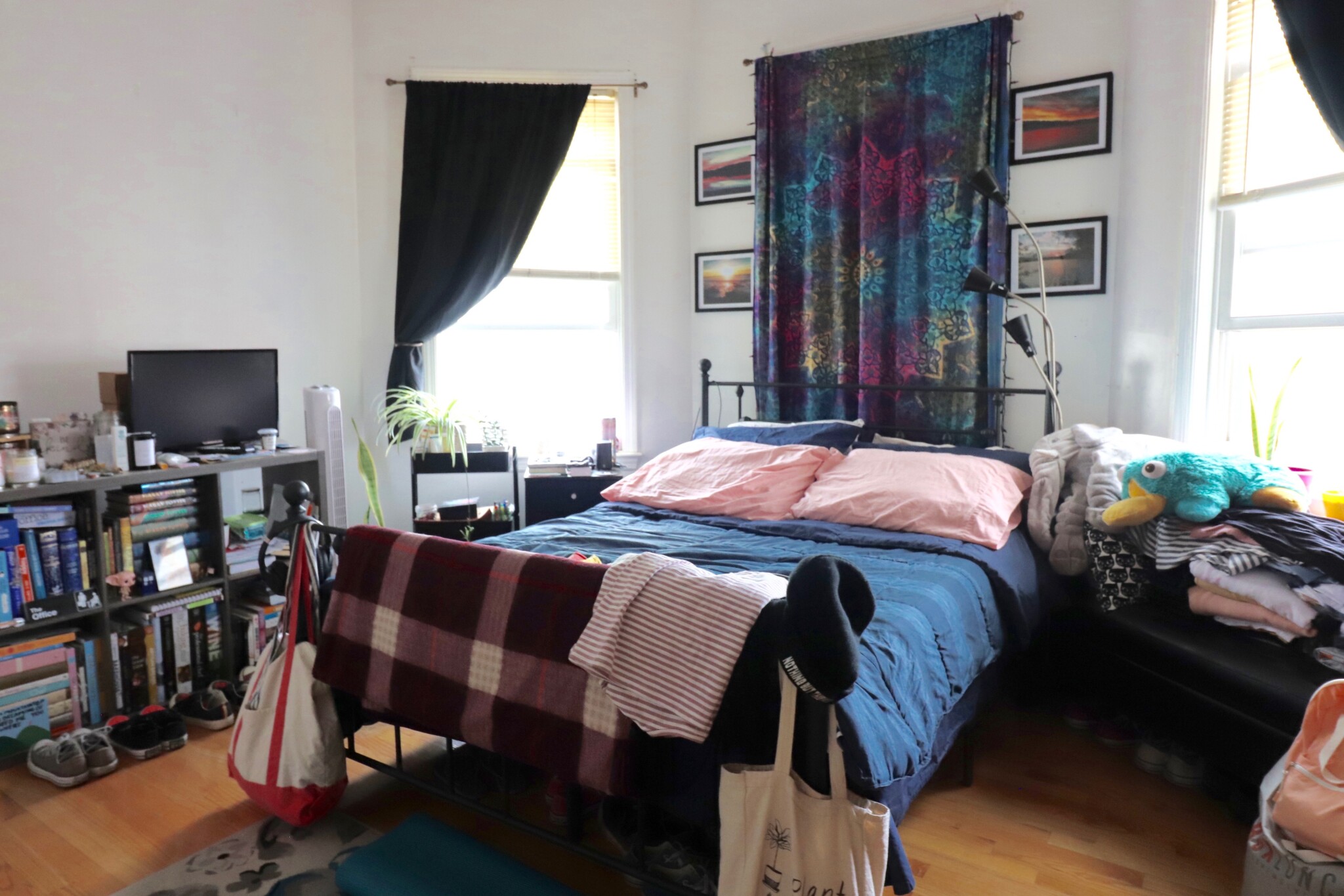 20 Darling St, Mission Hill