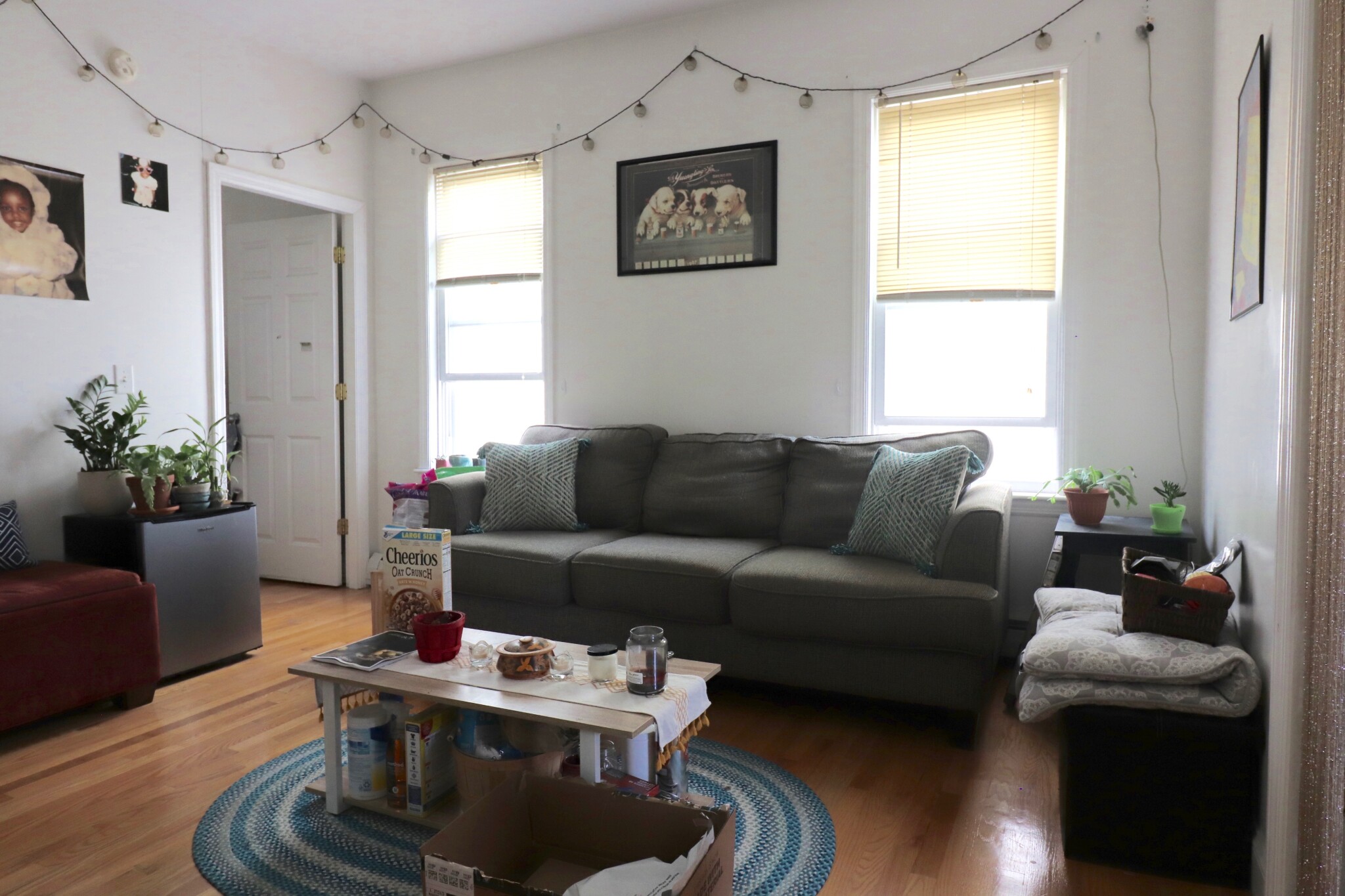 20 Darling St, Mission Hill