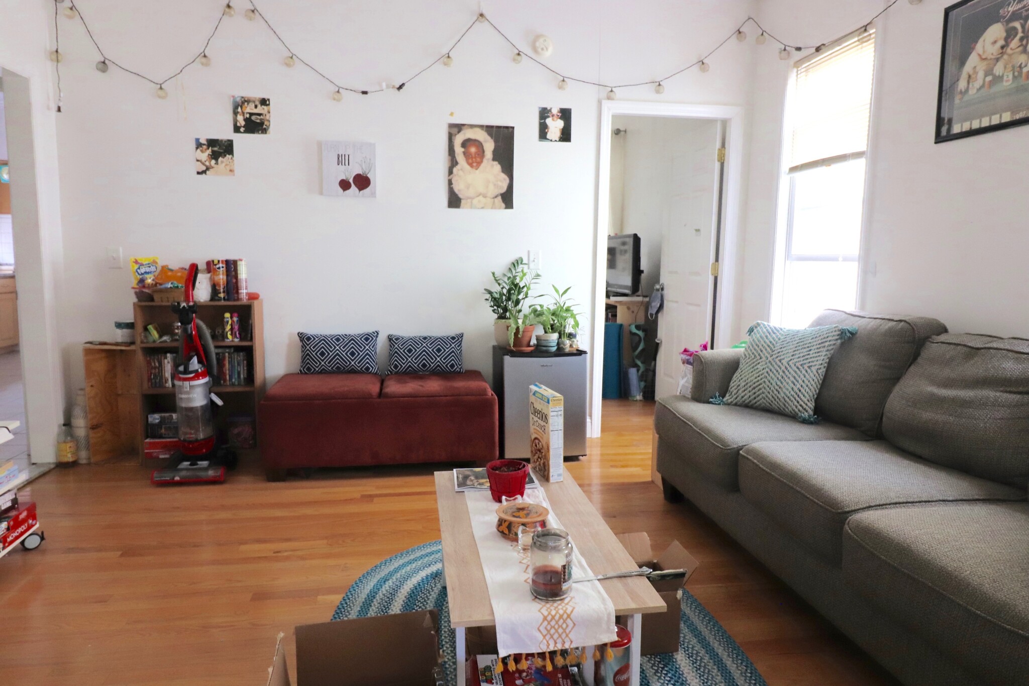 20 Darling St, Mission Hill