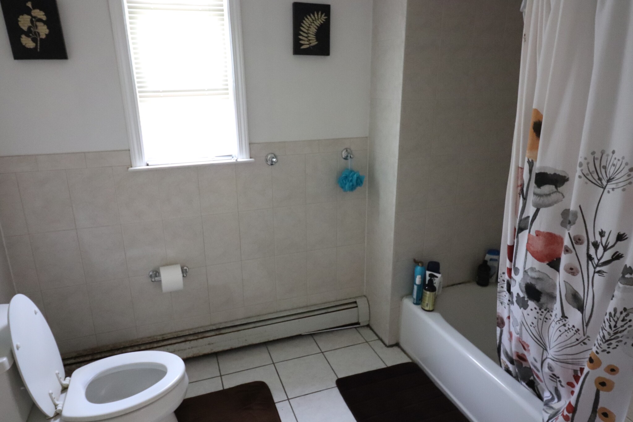 20 Darling St, Mission Hill