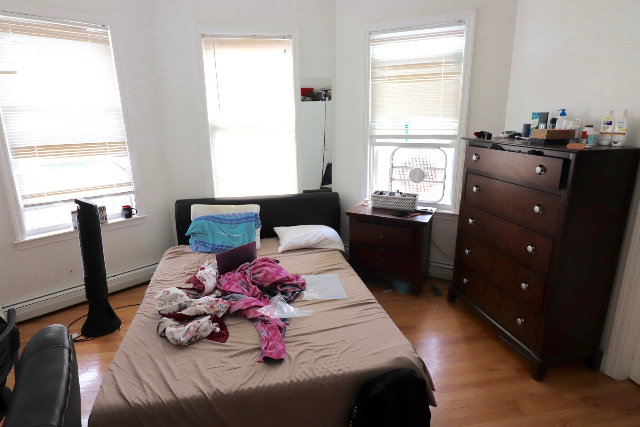 20 Darling St, Mission Hill