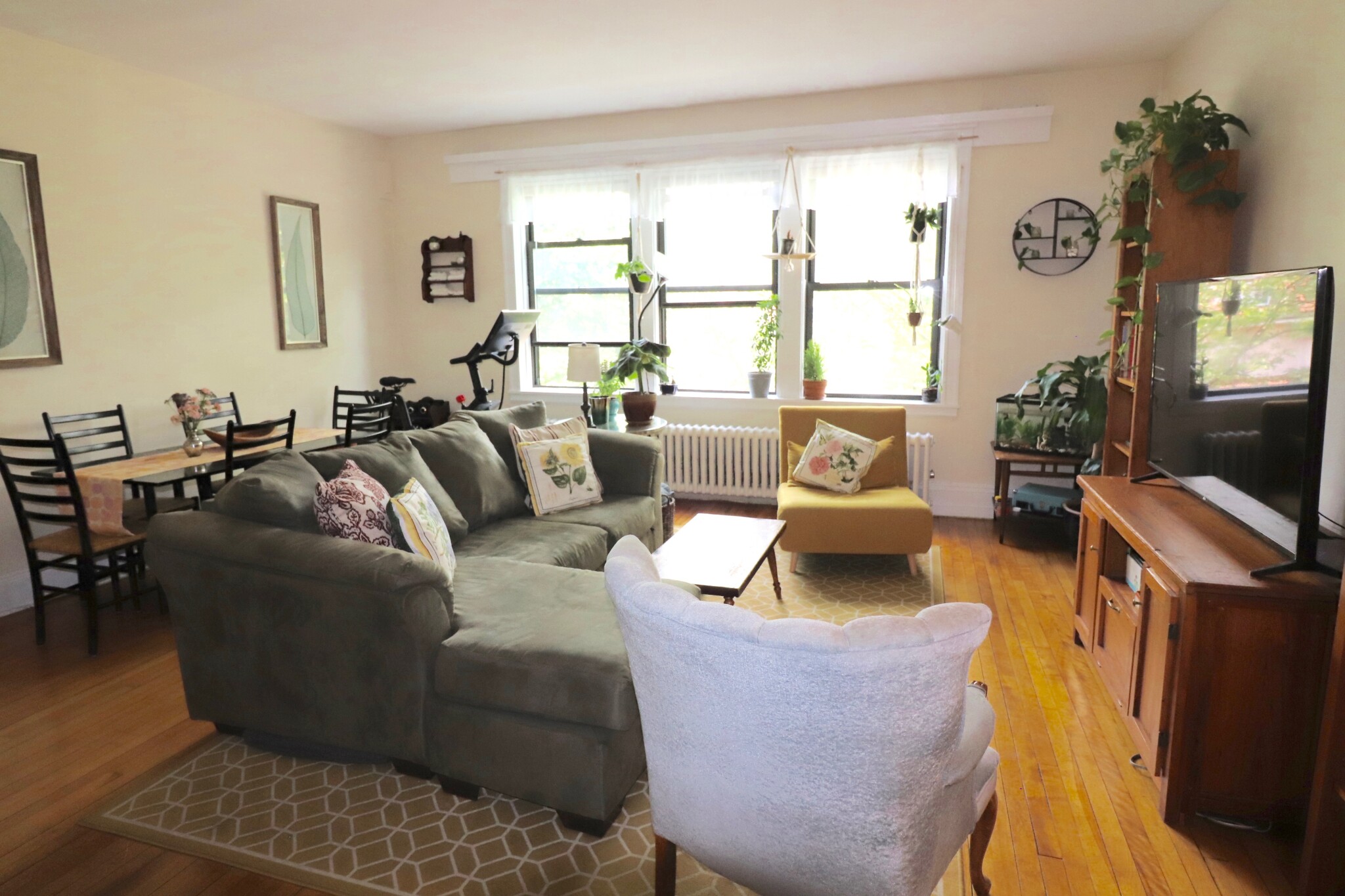 3 bed, 1 bath apartment for rent at 120 Babcock St Unit 33, Coolidge Corner — photo 11 of 21
