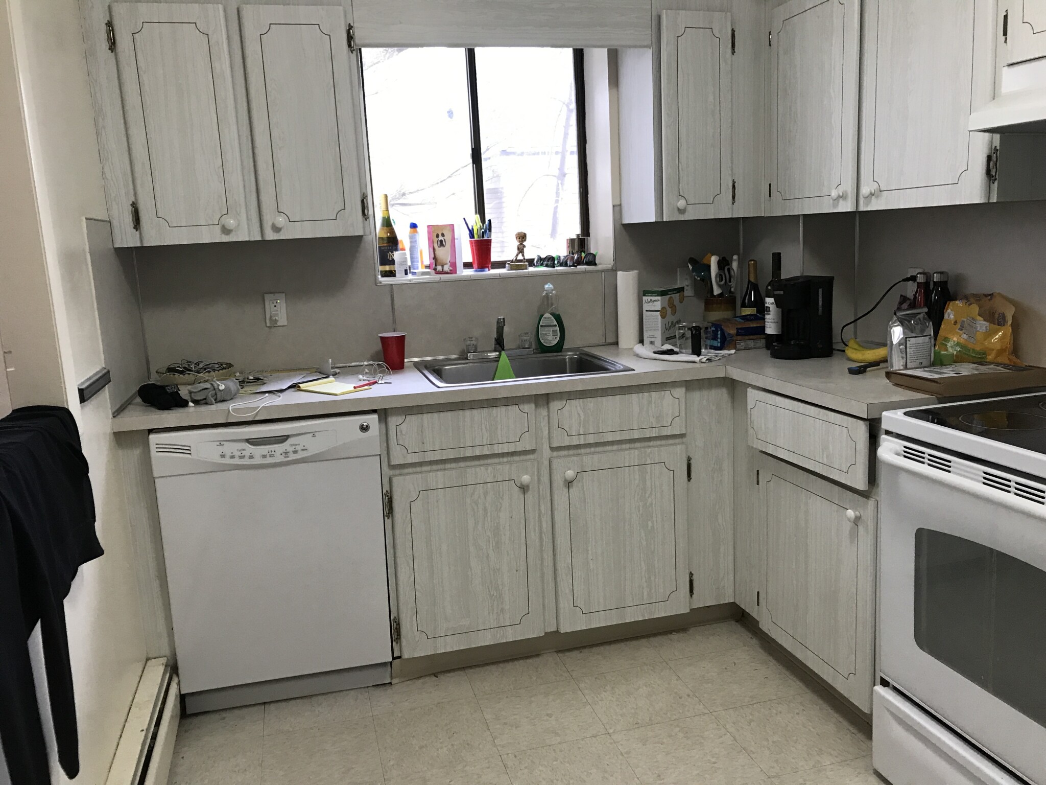 1 bed, 1 bath apartment for rent at 30 Fuller St Unit 205, Brookline — photo 5 of 6