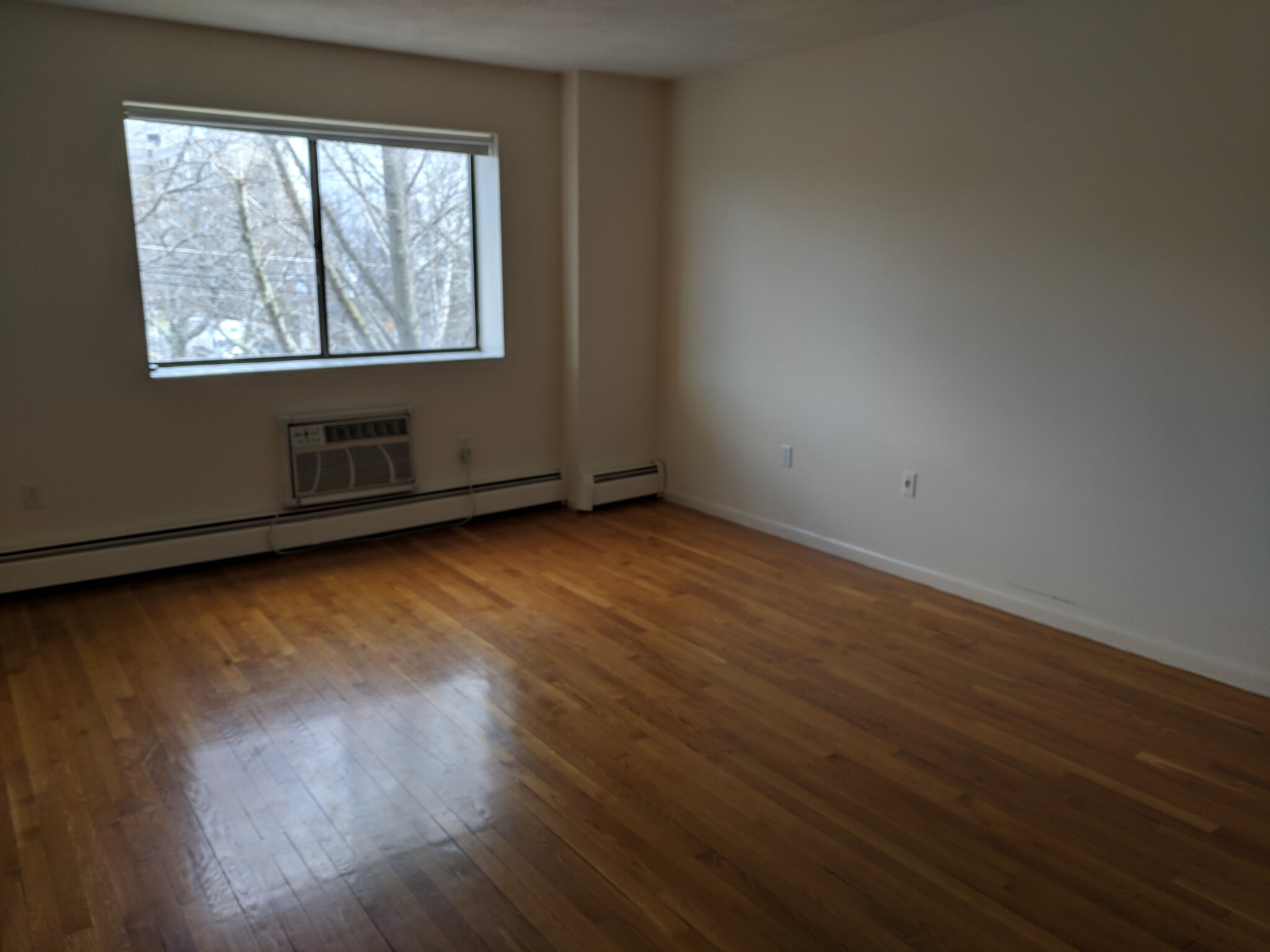 1 bed, 1 bath apartment for rent at 30 Fuller St Unit 304, Brookline — photo 5 of 7