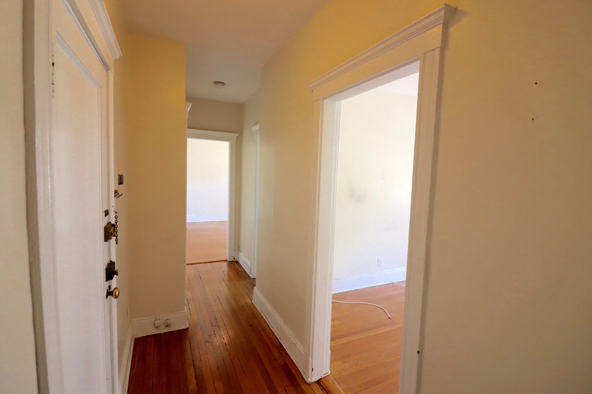 84 Sutherland Rd, Brighton