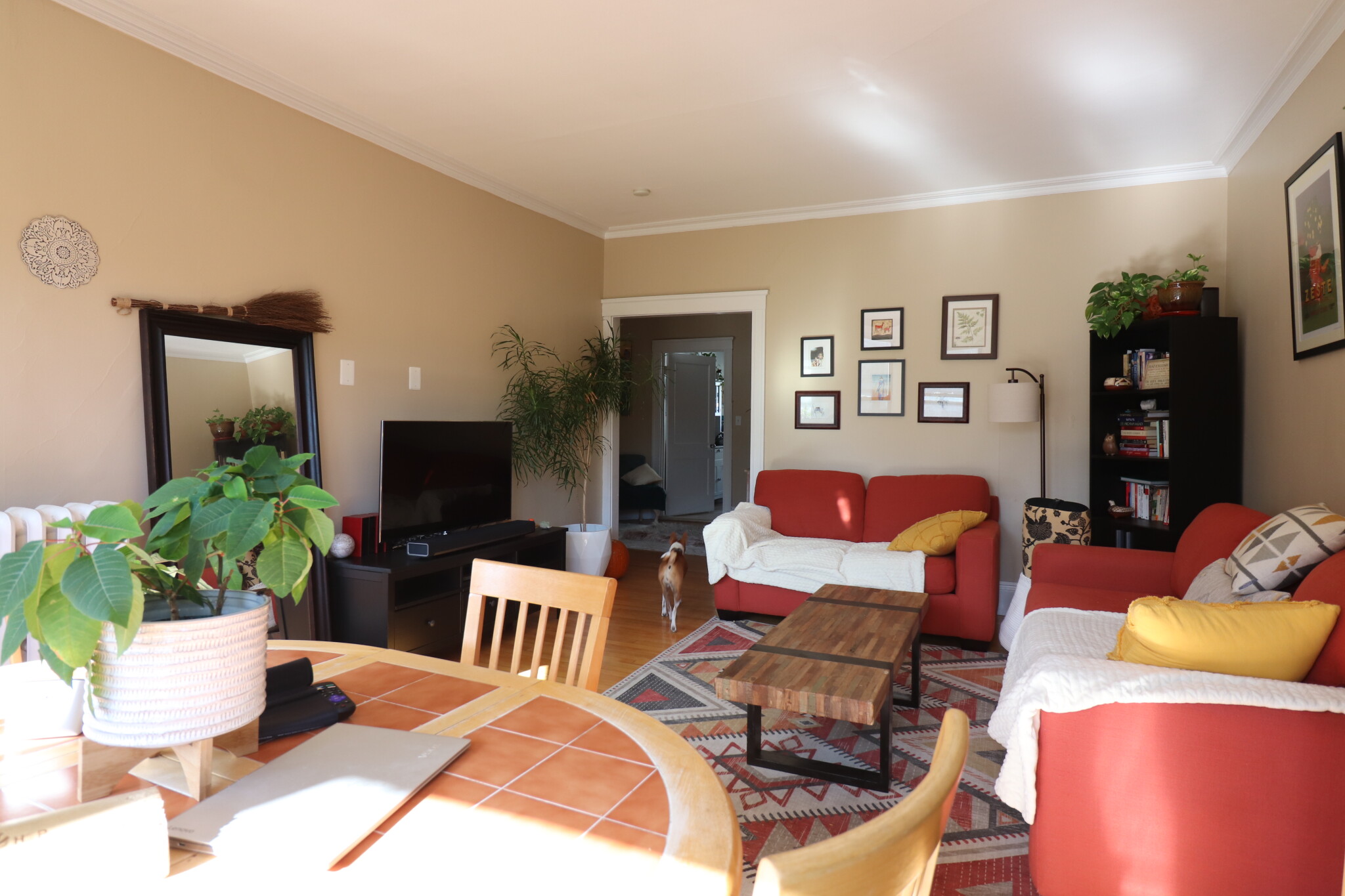 124 Babcock St, North Brookline