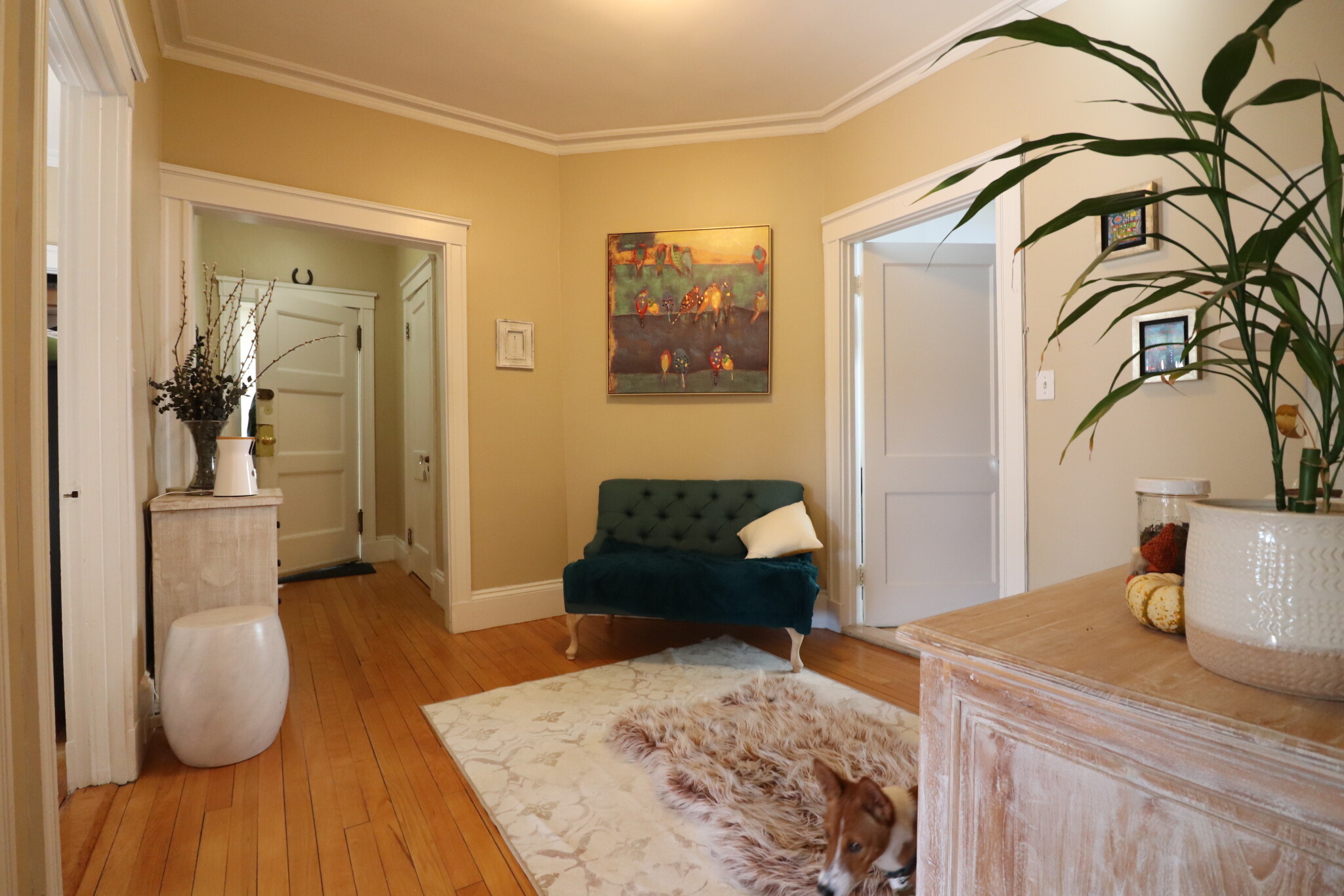 124 Babcock St, North Brookline