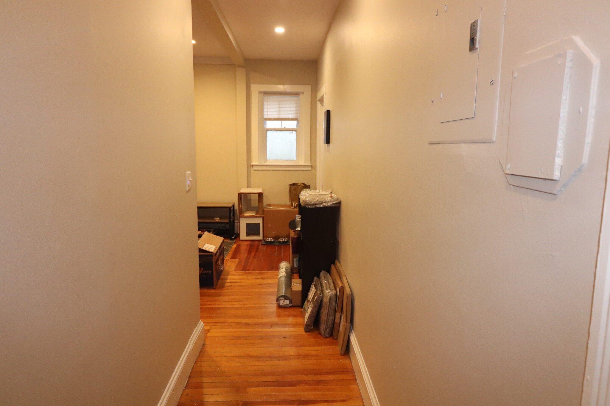1 bed, 1 bath apartment for rent at 176 Winthrop Rd Unit 7, Washington Square — photo 3 of 7