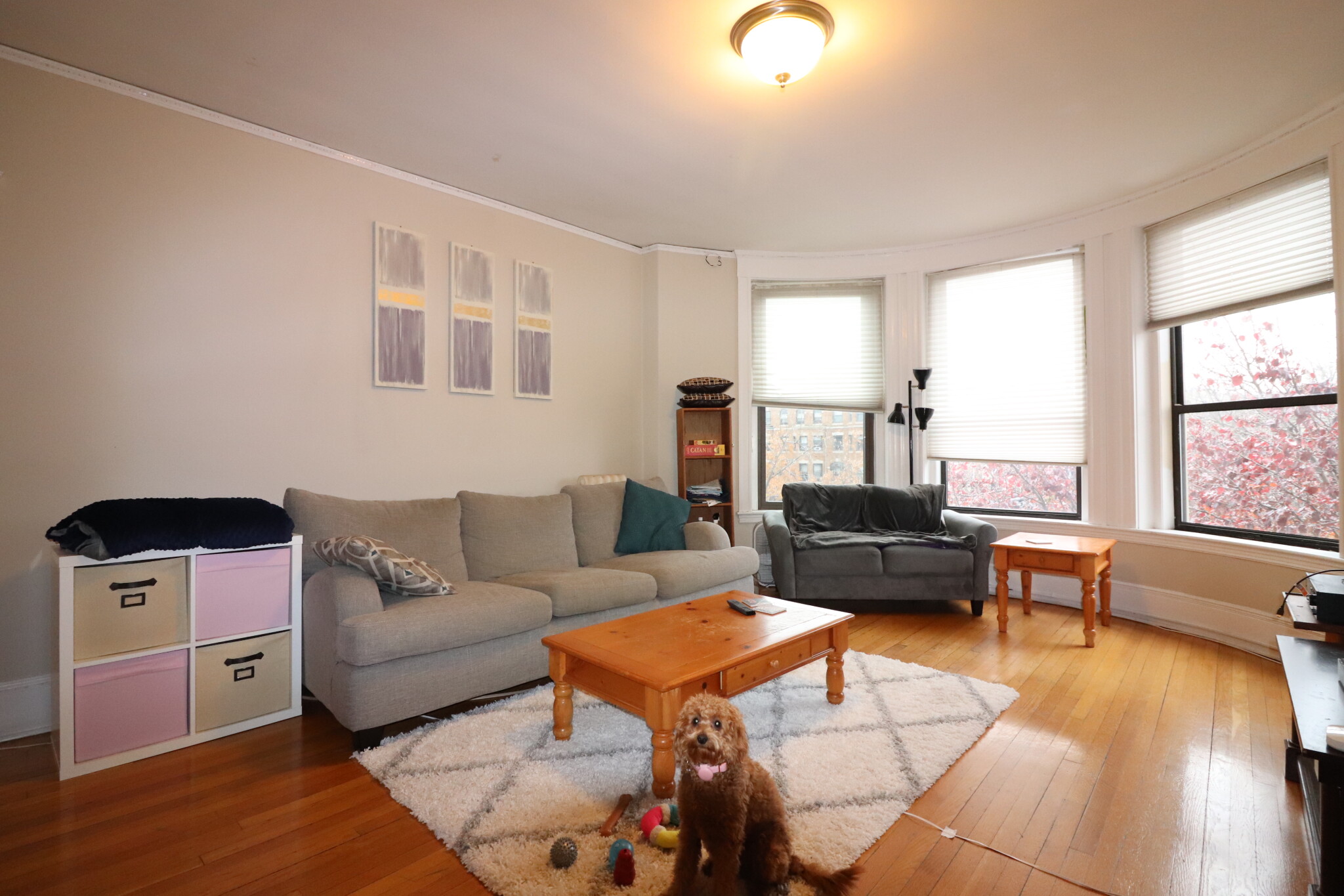 4 bed, 2 bath apartment for rent at 1038 Beacon St Unit 303, Brookline — photo 7 of 15