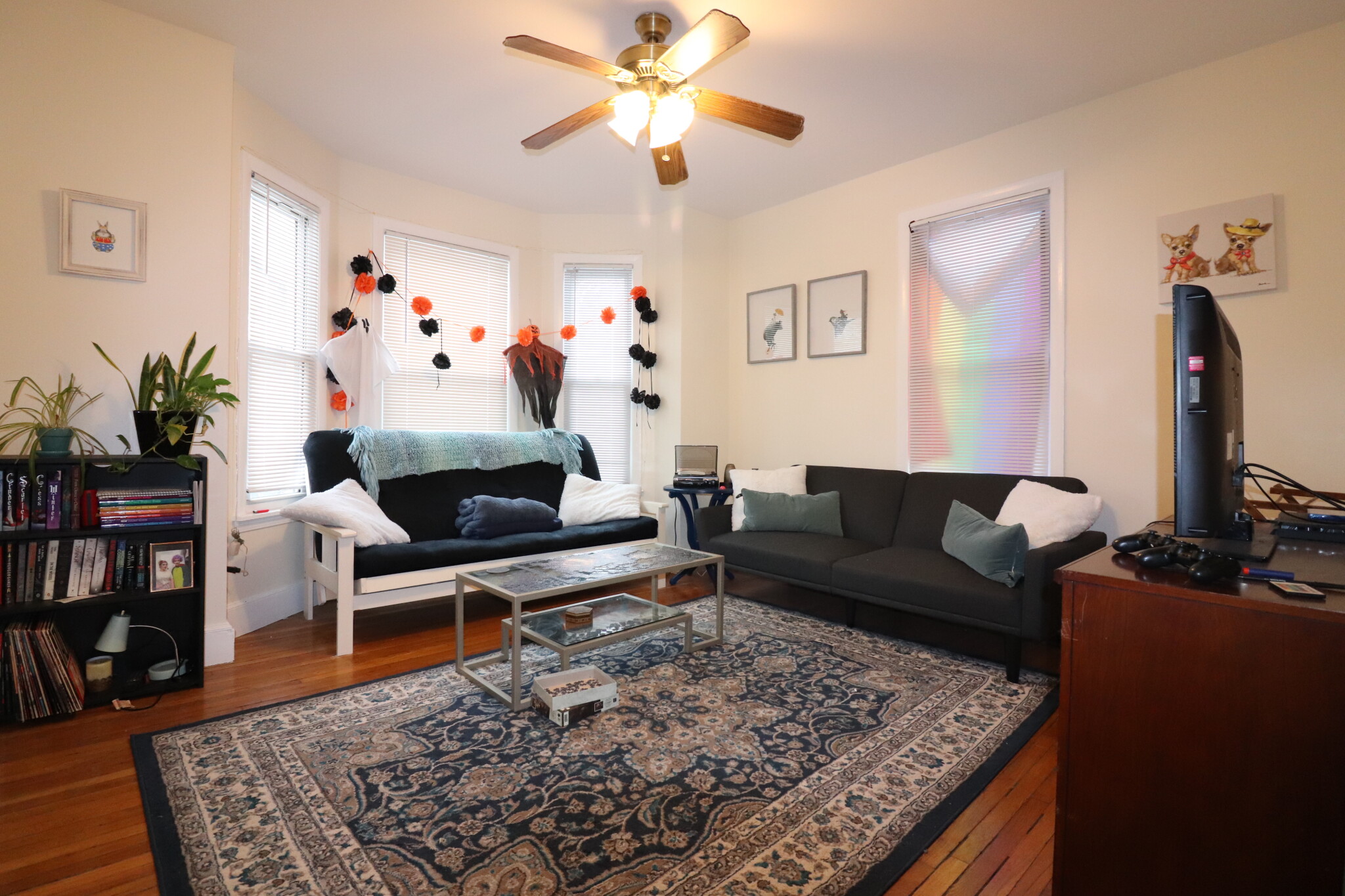 214 Freeman St, Coolidge Corner