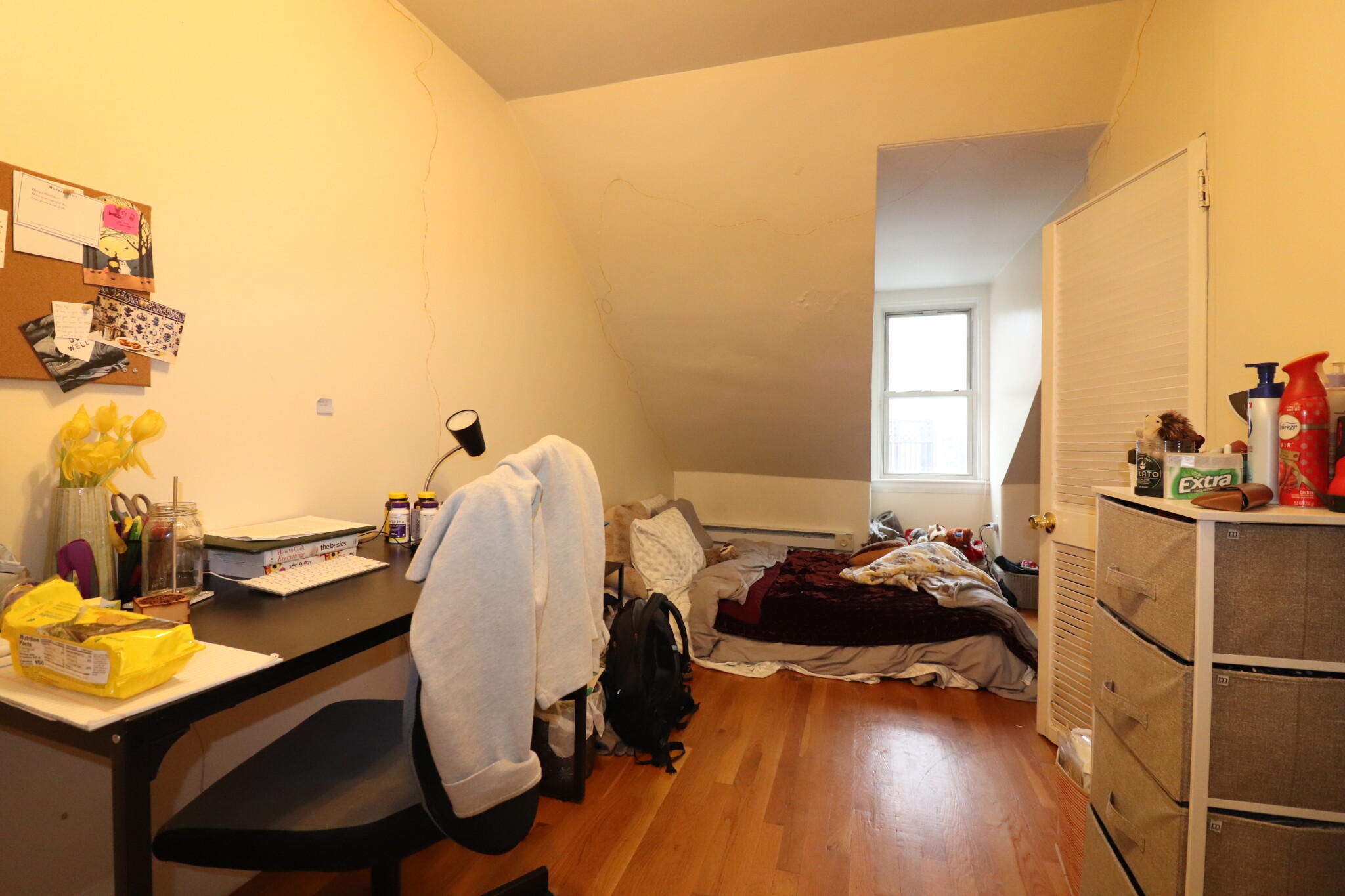 214 Freeman St, Coolidge Corner