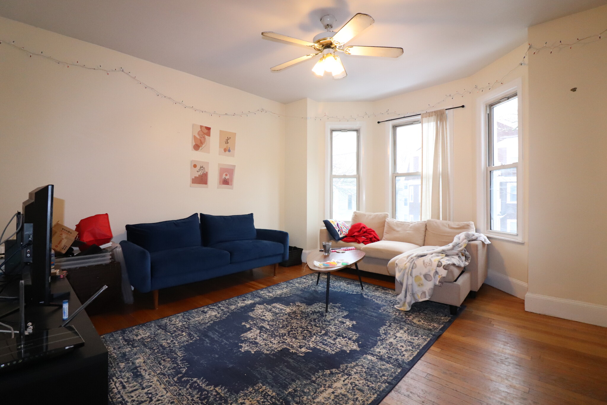 214 Freeman St, Coolidge Corner