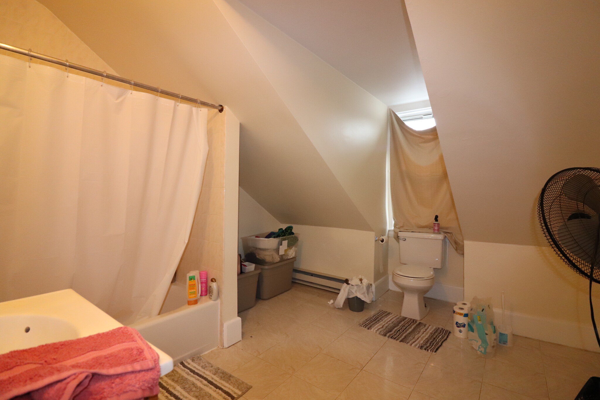 214 Freeman St, Coolidge Corner