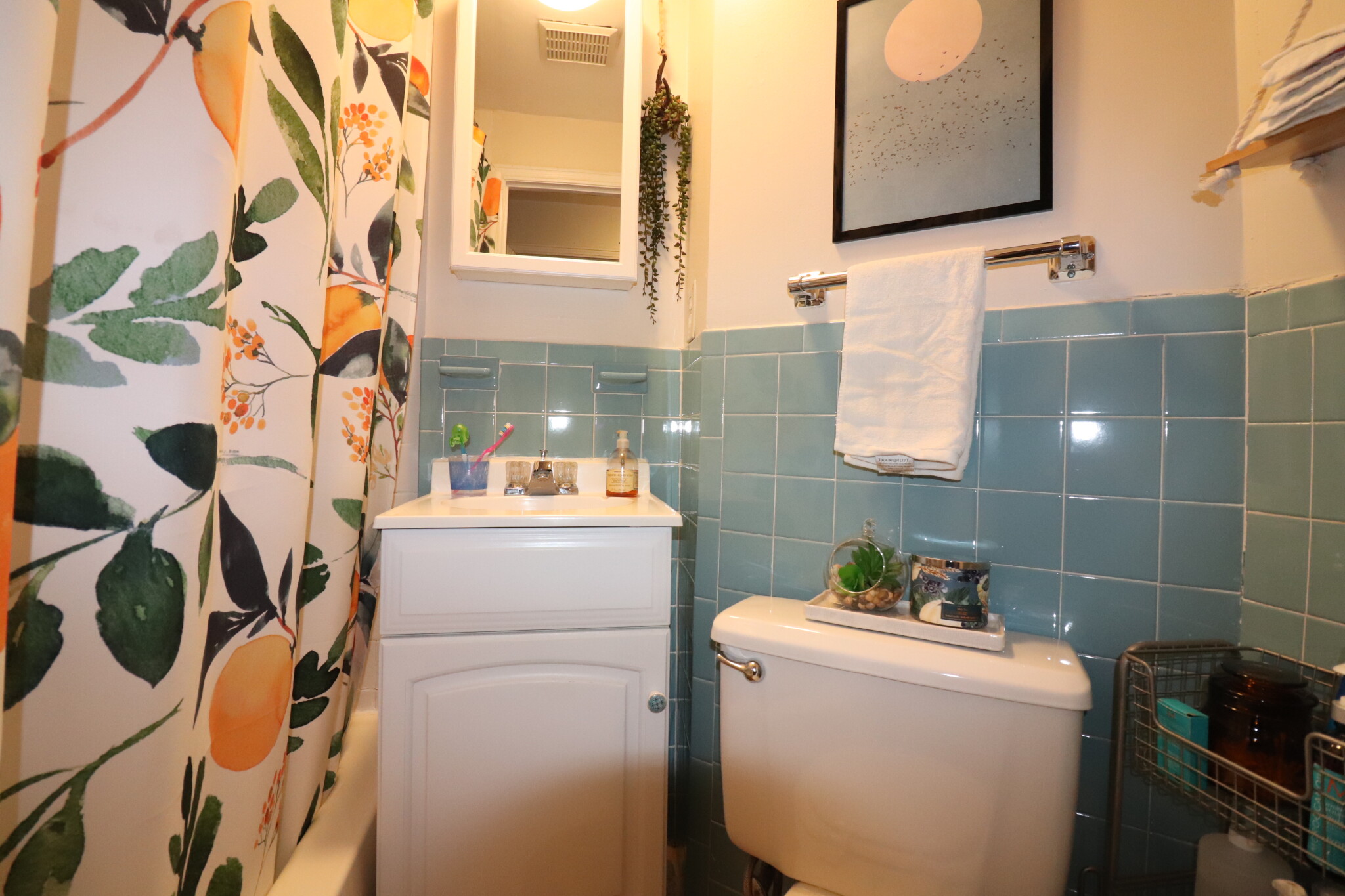 2 bed, 1 bath apartment for rent at 1706 Commonwealth Ave Unit 22, Brighton — photo 5 of 9