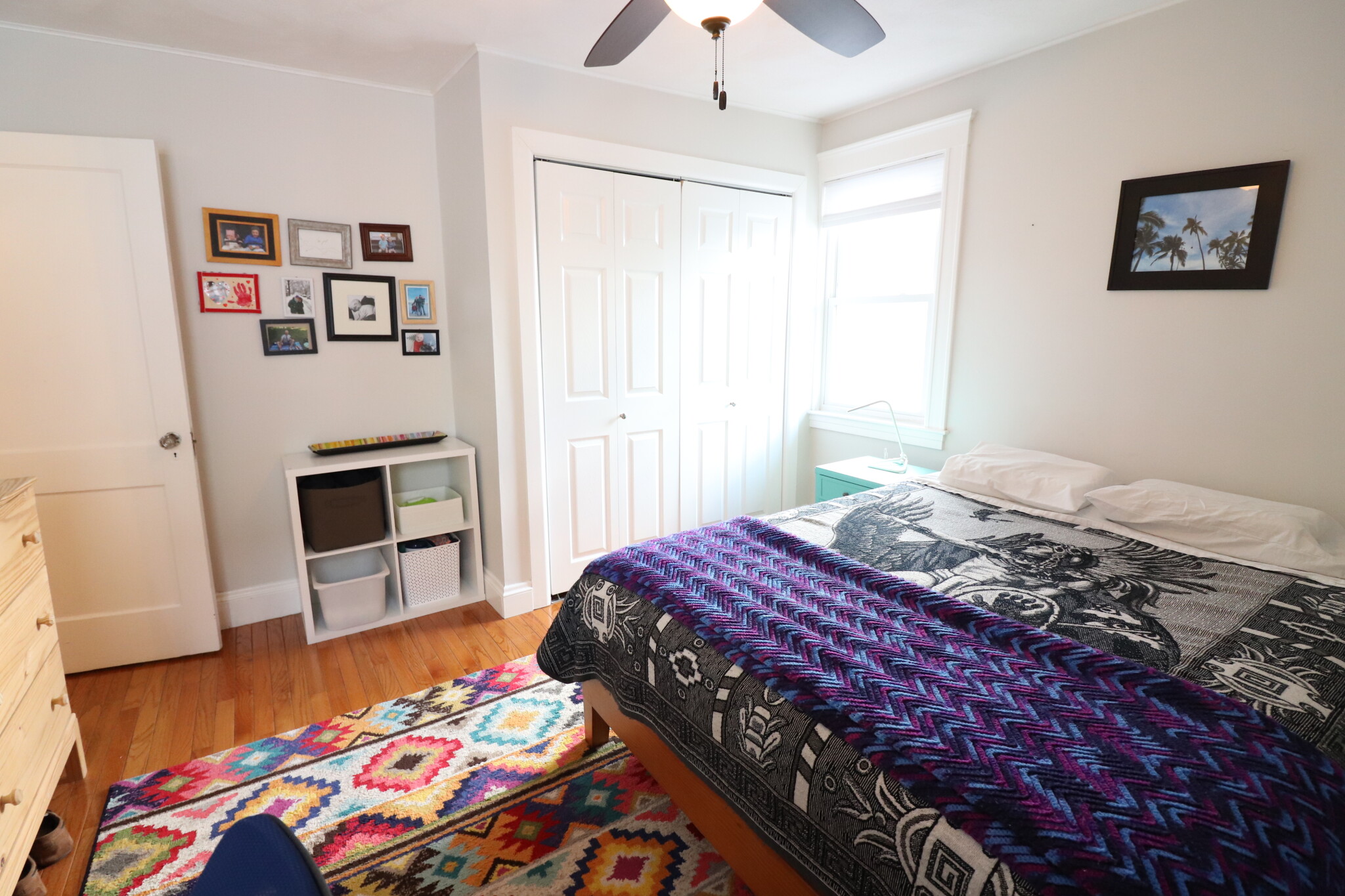 67 Withington Rd, Newton