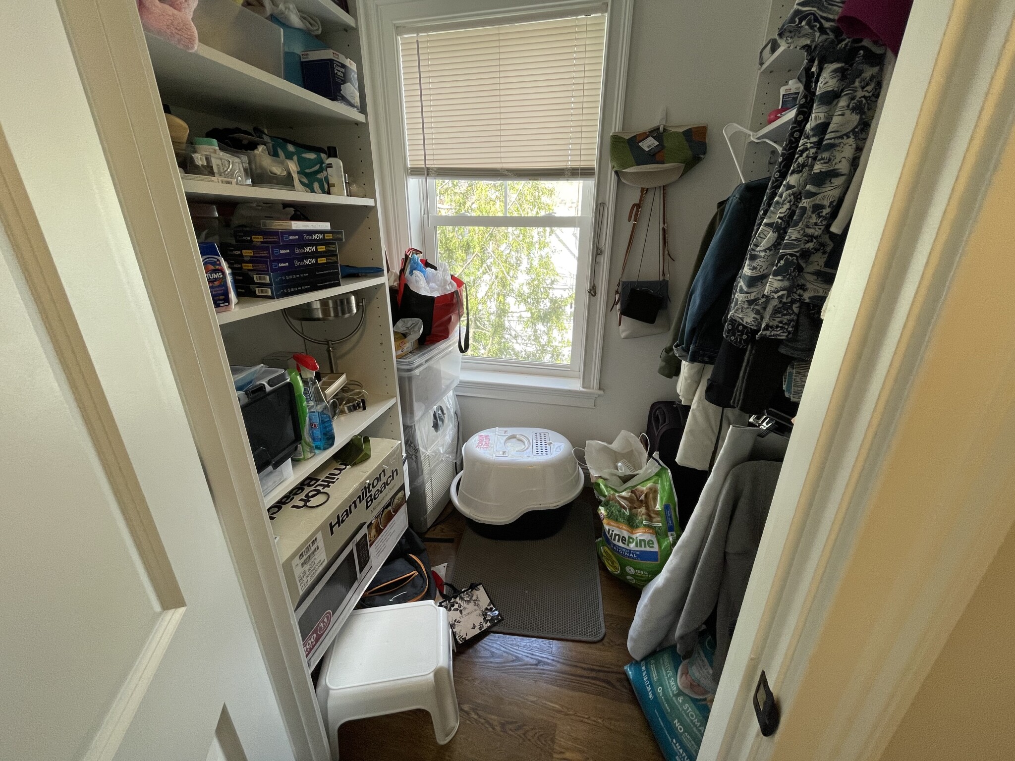 8 Nira Ave, Jamaica Plain